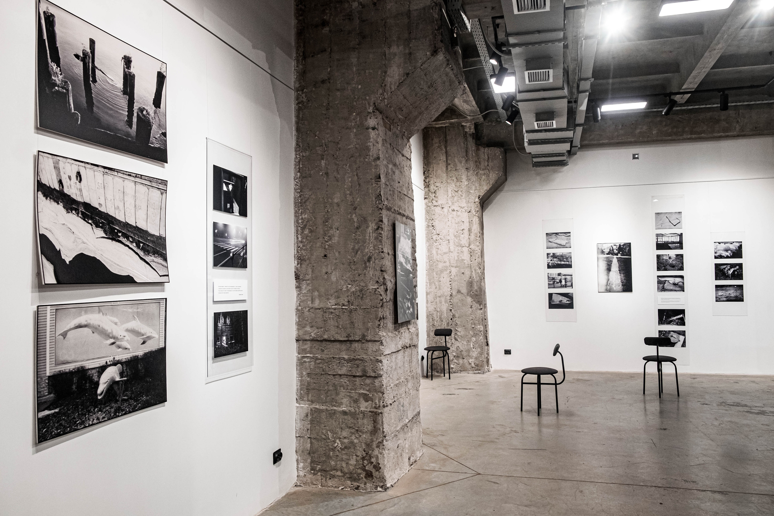 Vsled. Daniil Shkaruba. Elina Gusarova