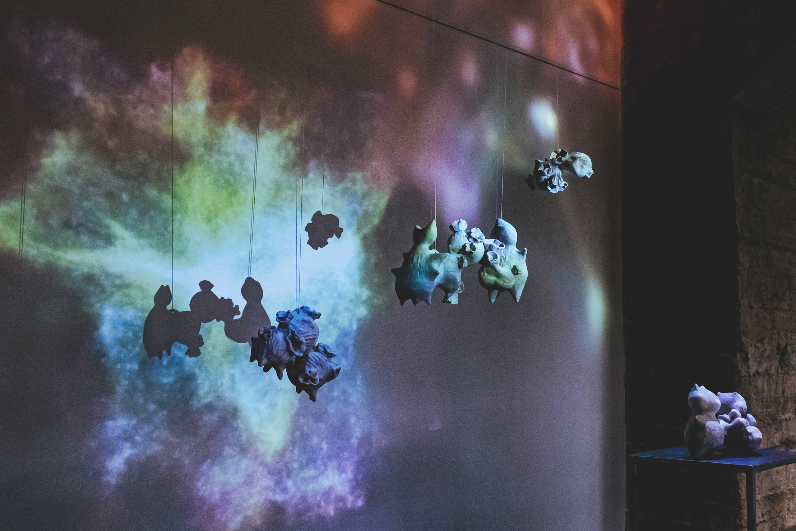 Облако Оорта. Анна Рейнхардт. Элина Гусарова