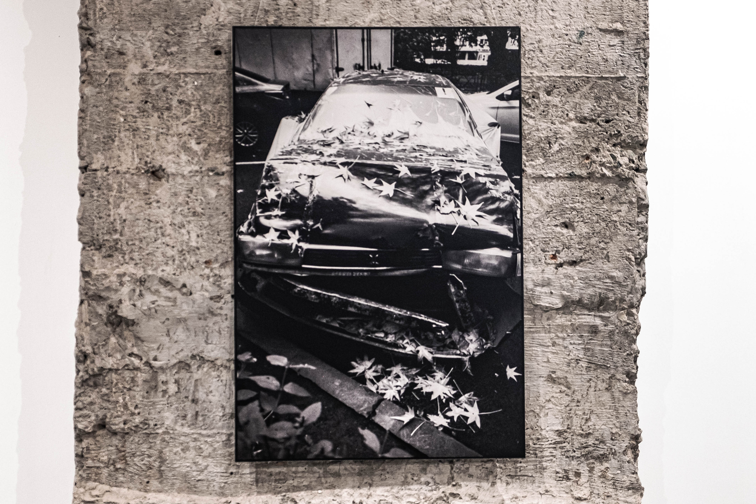 Vsled. Daniil Shkaruba. Elina Gusarova