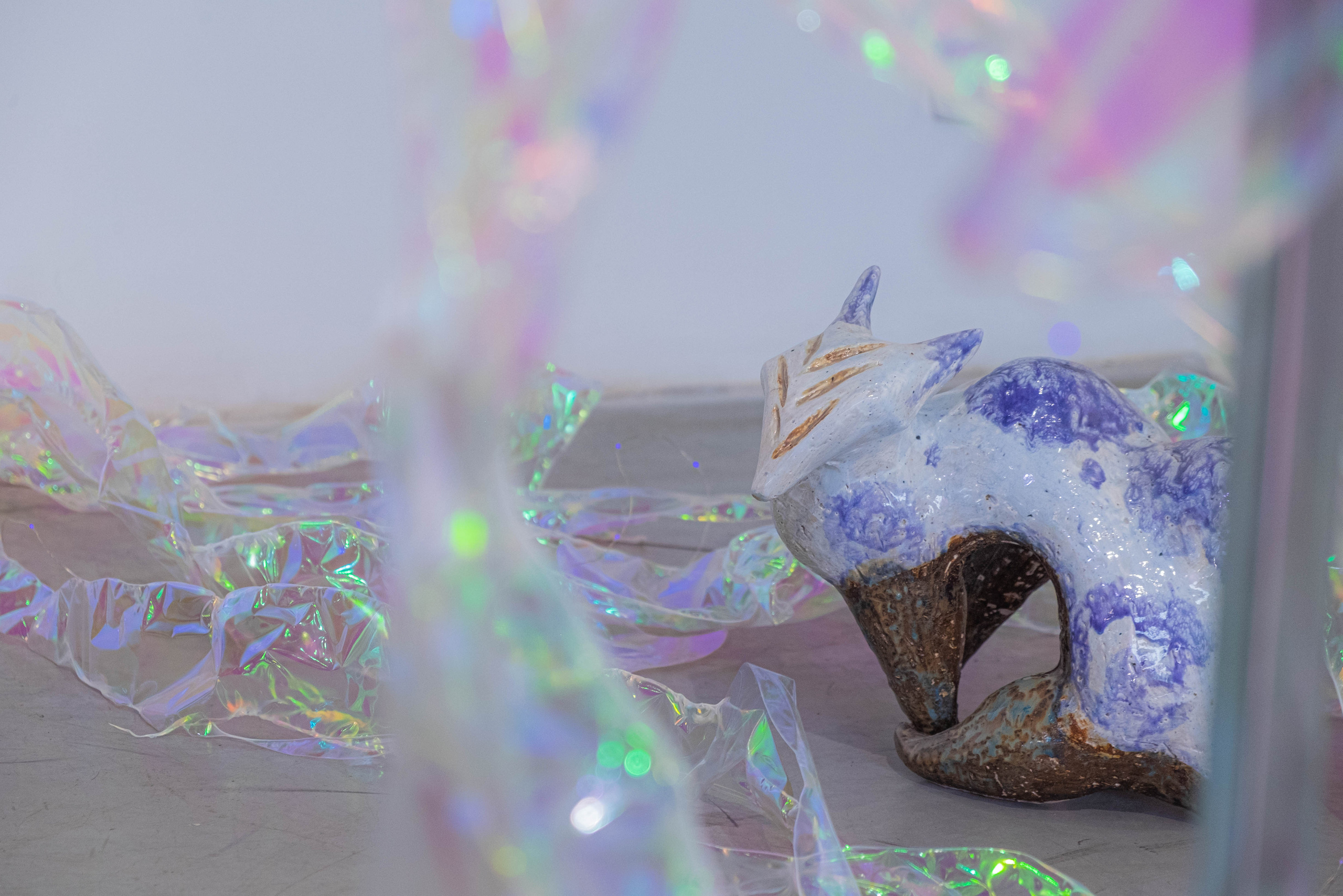 Облако Оорта. Анна Рейнхардт. Элина Гусарова