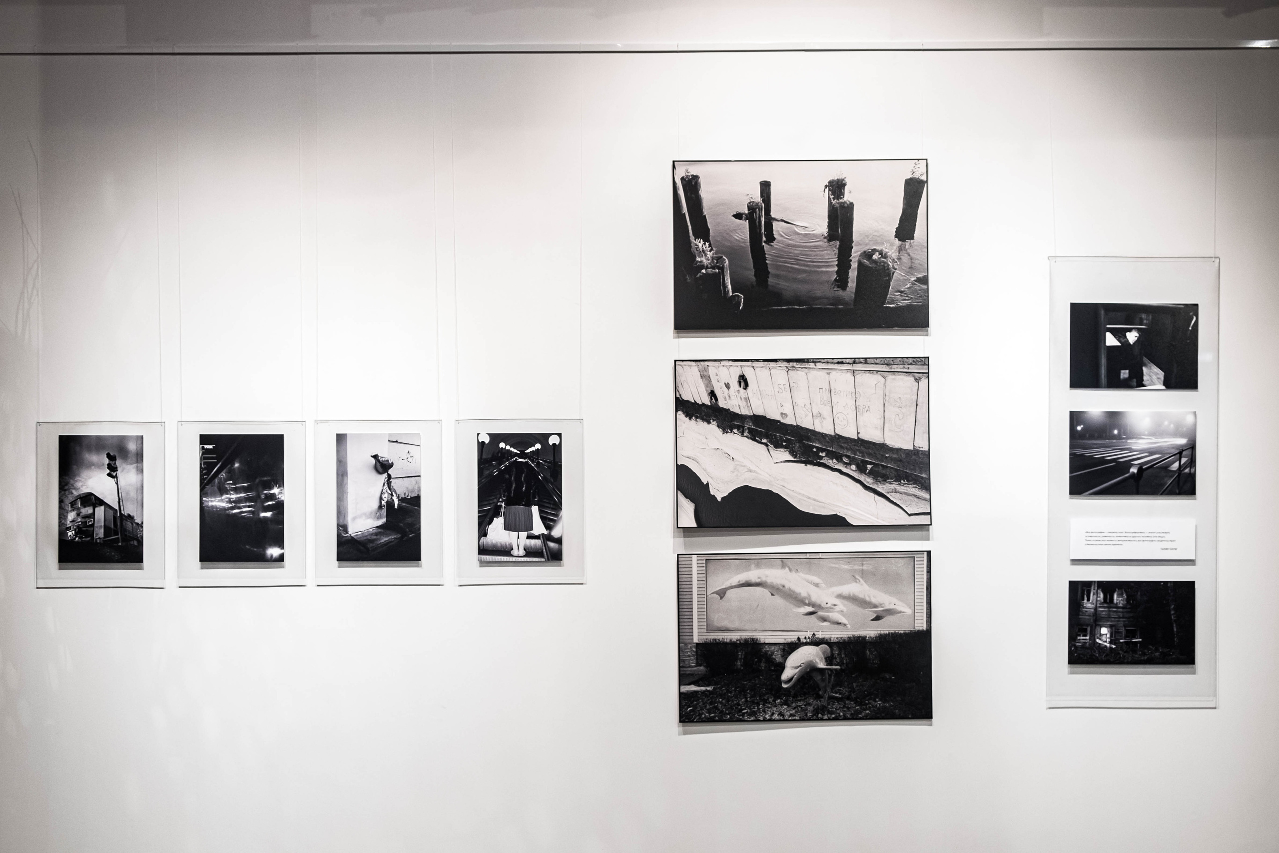 Vsled. Daniil Shkaruba. Elina Gusarova