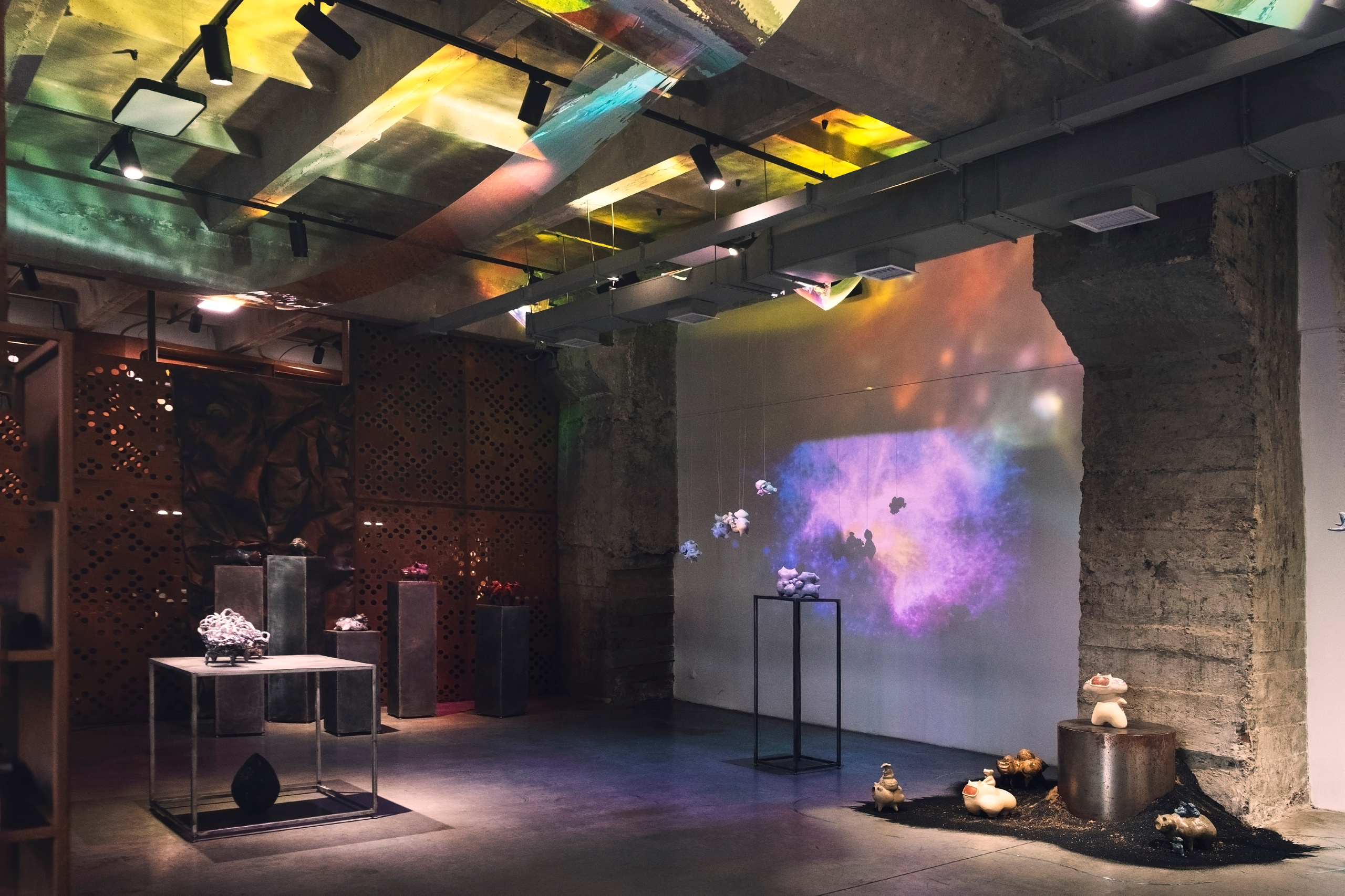 Облако Оорта. Анна Рейнхардт. Элина Гусарова