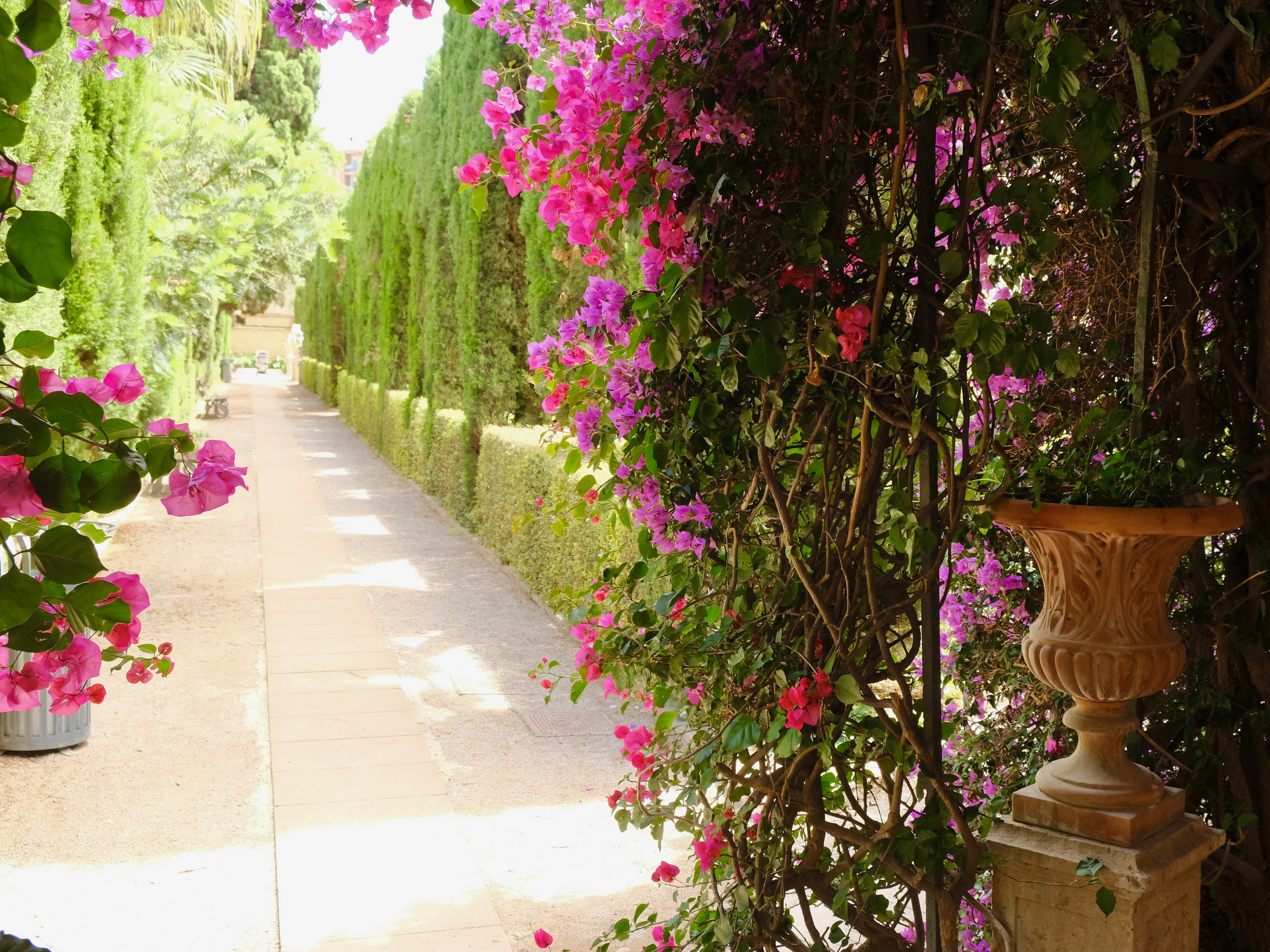 Валенсия — зелёная столица Европы. Гид и фотограф в Валенсии Новиков Михаил