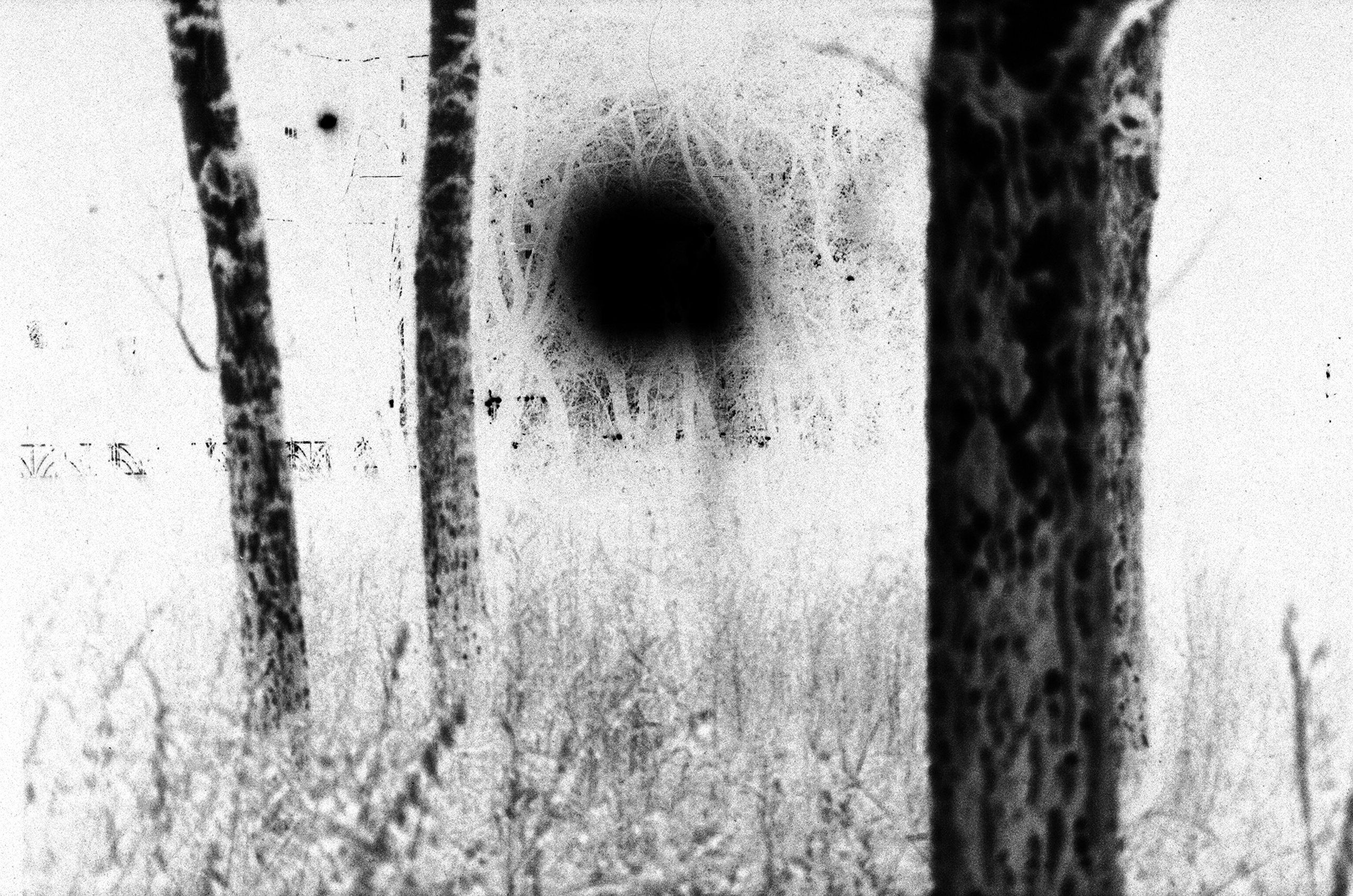 Осенние нуары. Контент-креатор Паша Норицын