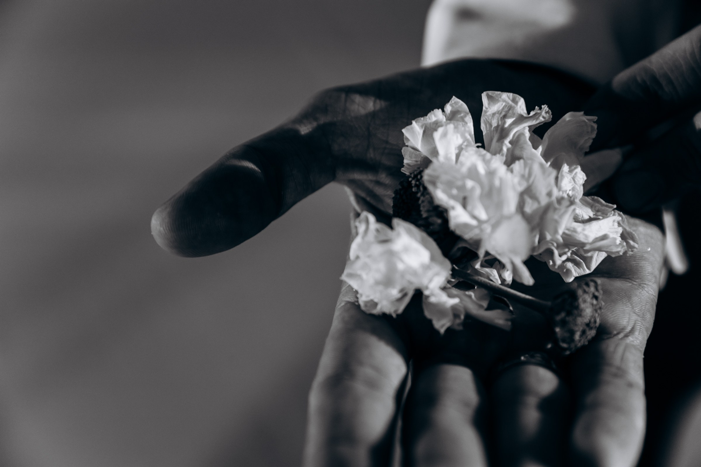 Ангелина и Андрей. Свадебная серия. Фотограф в Крыму — Федор зайцев. Свадебная, семейная и портретная съёмка. Фотографии для контента, для бизнеса. Корпоративная съёмка