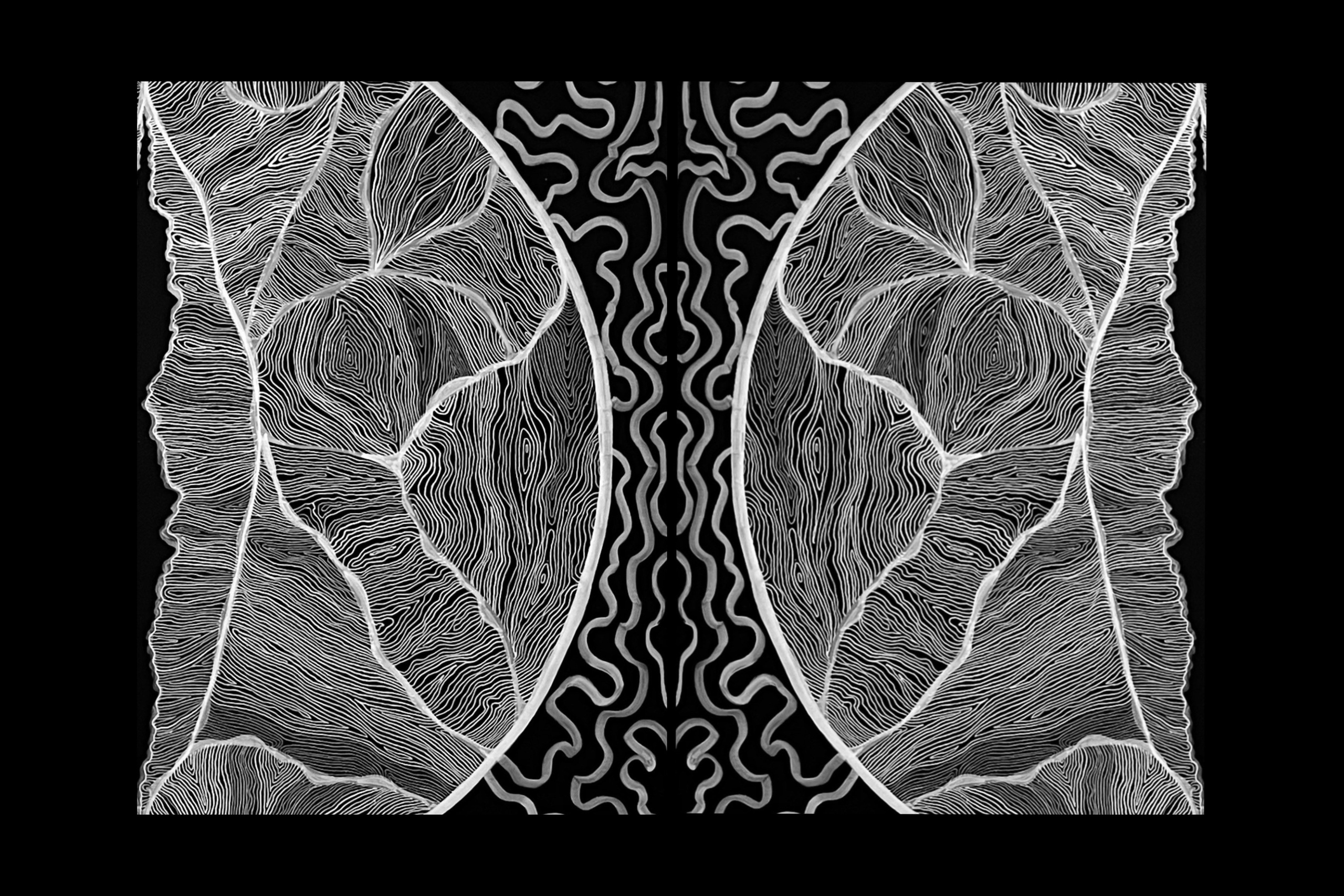 Концептуальный художник Сушкова Софья Москва