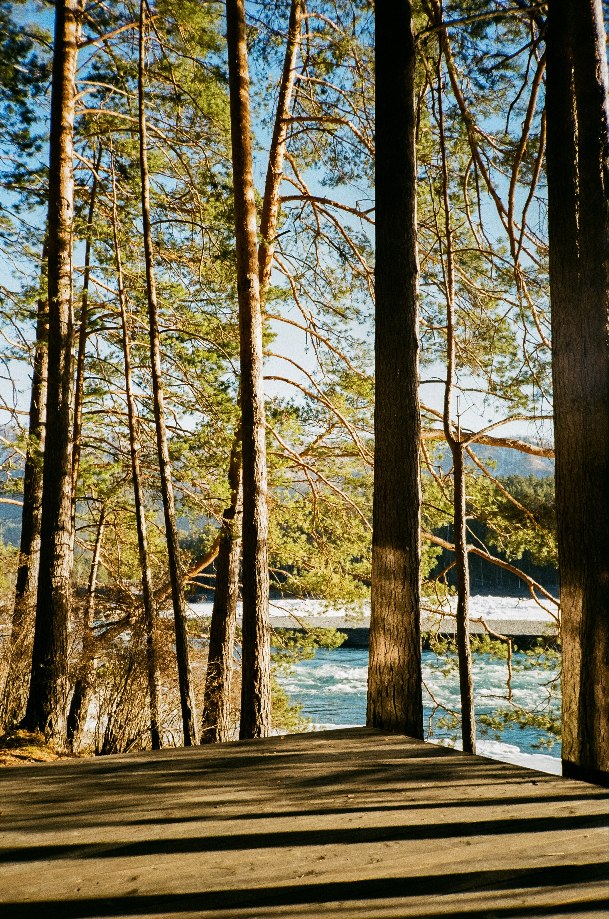 База Берель, база Тихий берег, Бережок / 23 декабря 2023 года (-10℃)