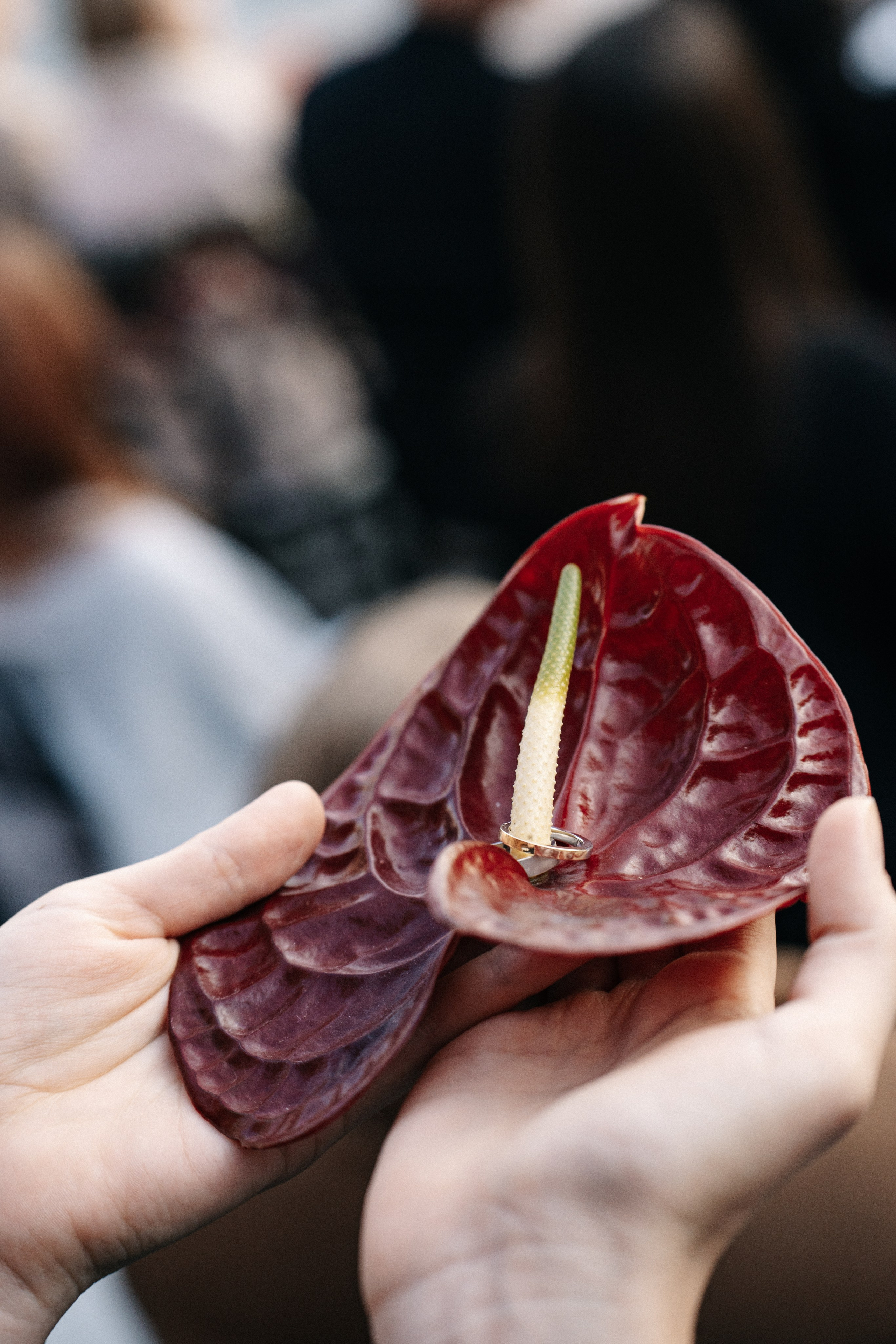 Московский Императорский яхт-клуб свадебная фотосессия