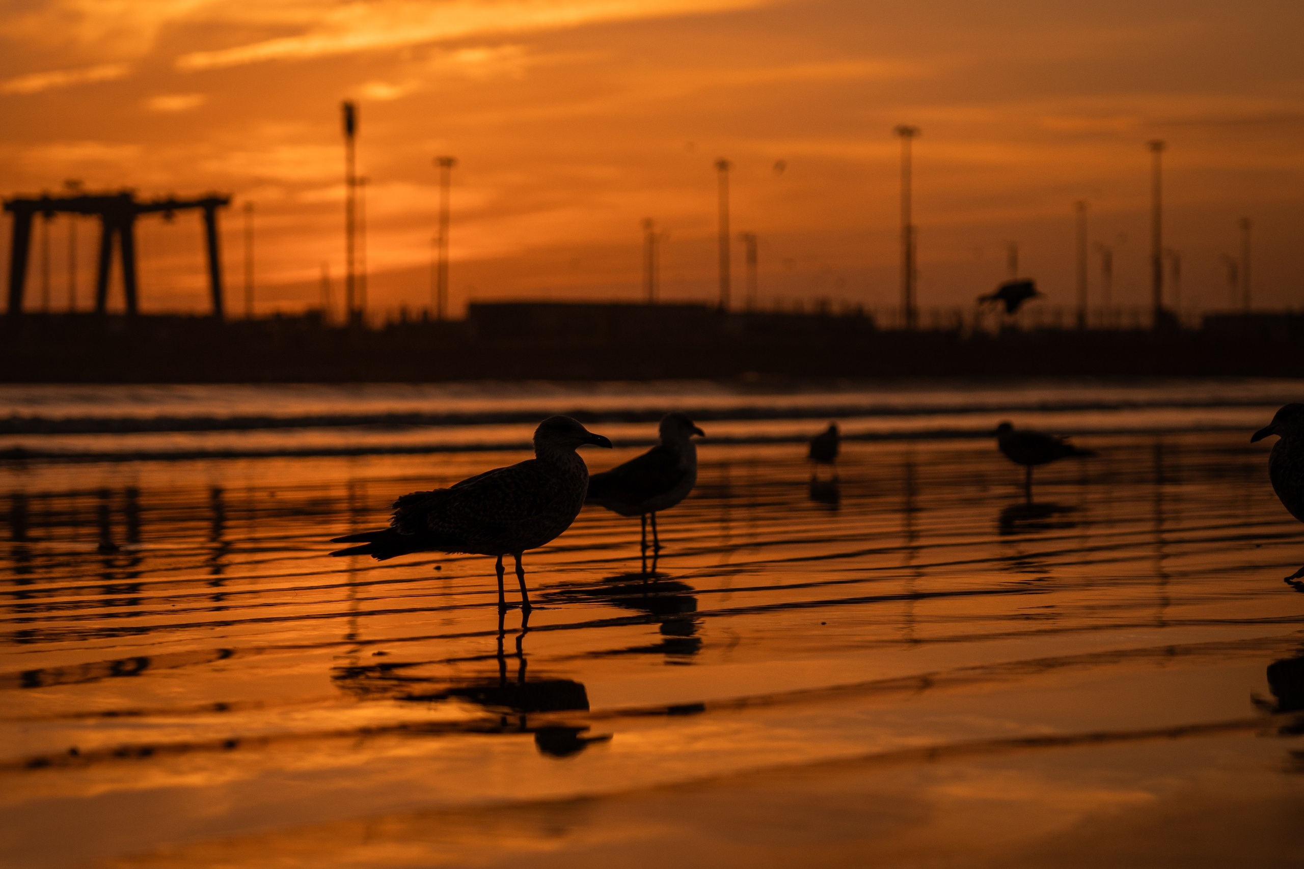 Марокко. Илья Варин — Фотограф Москва, Тверь