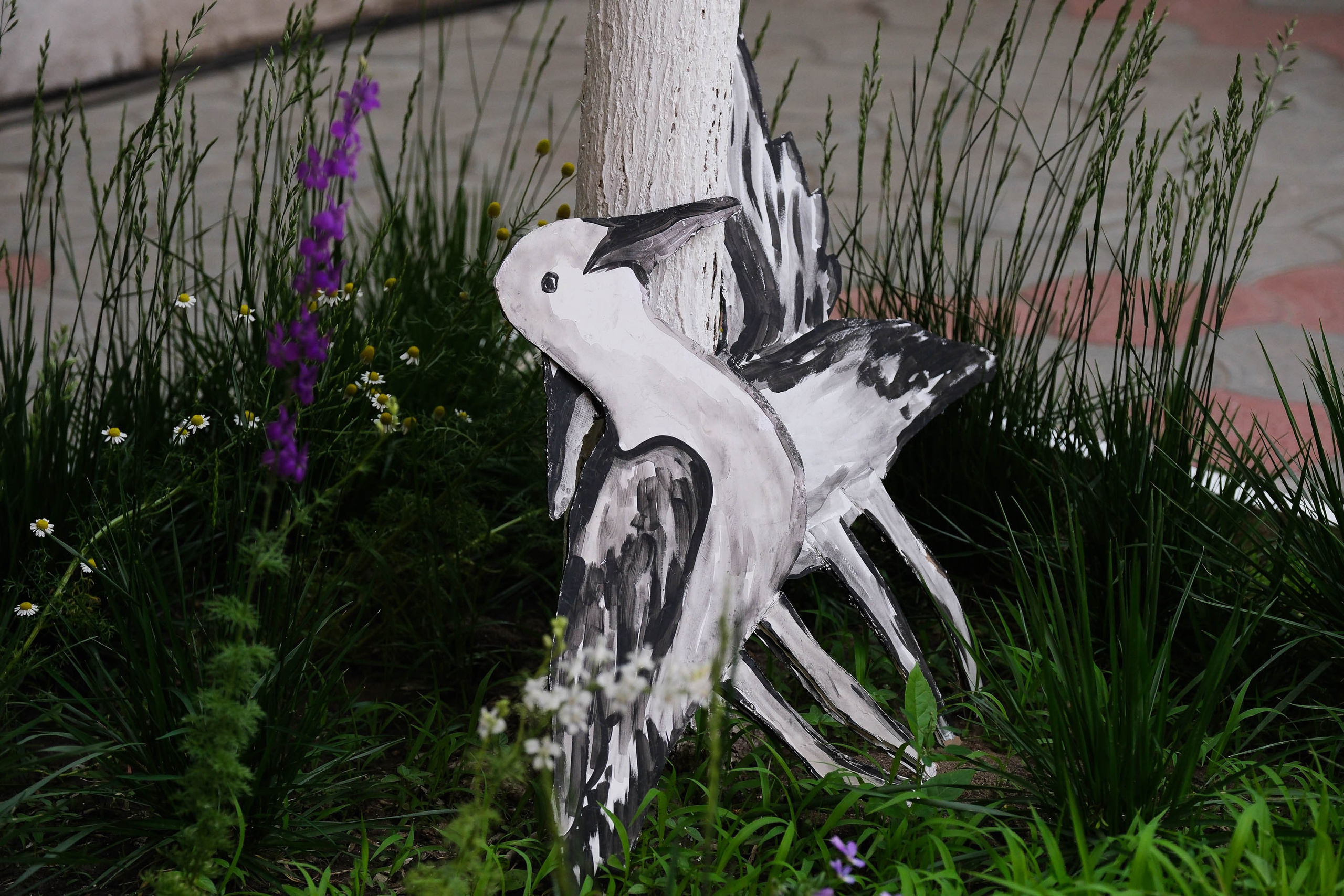 Кабаре «Велимир». Фотограф Анатолий Деникин