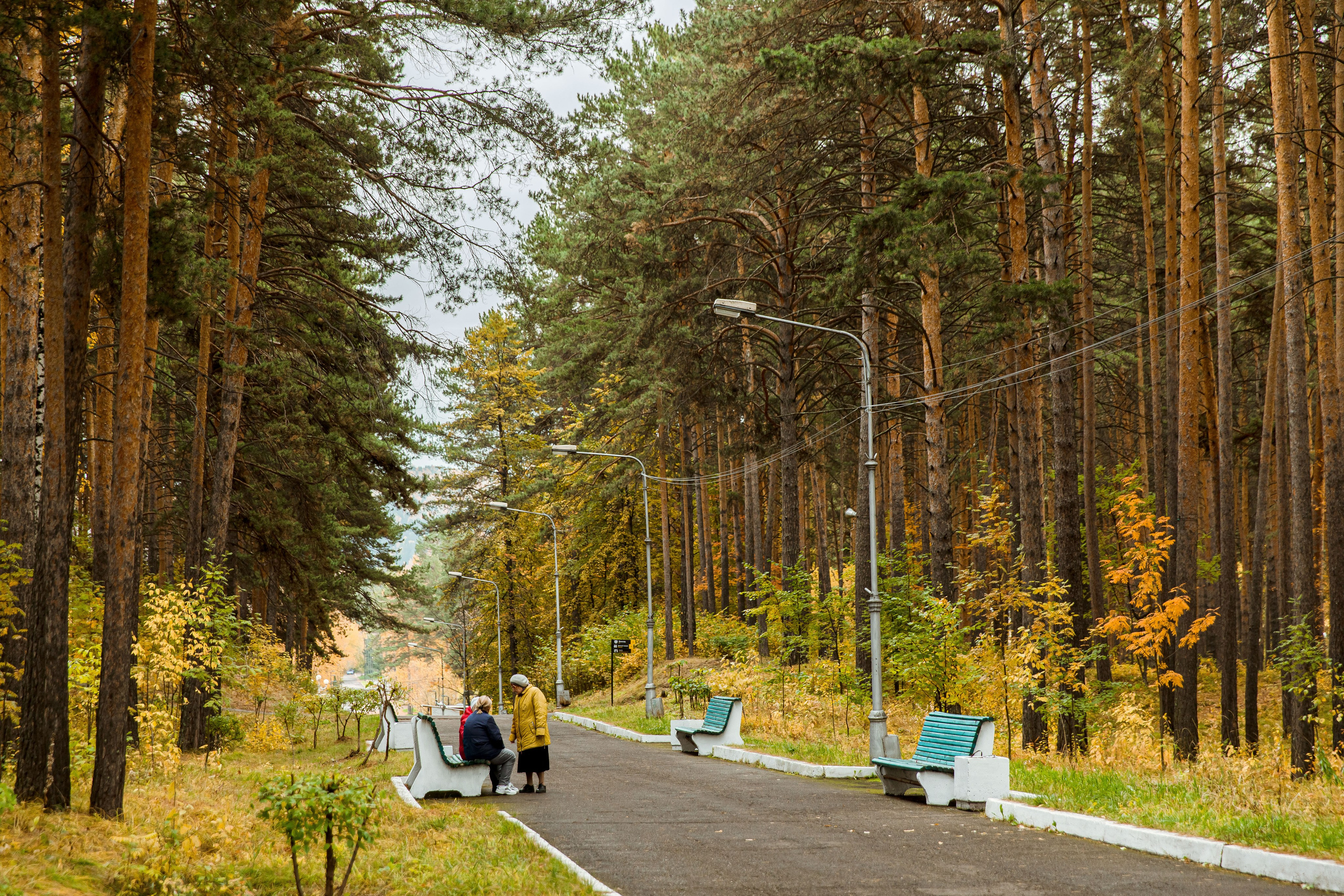 Осень в парке. Семейный и детский фотограф в Железногорске Саламахо Ольга