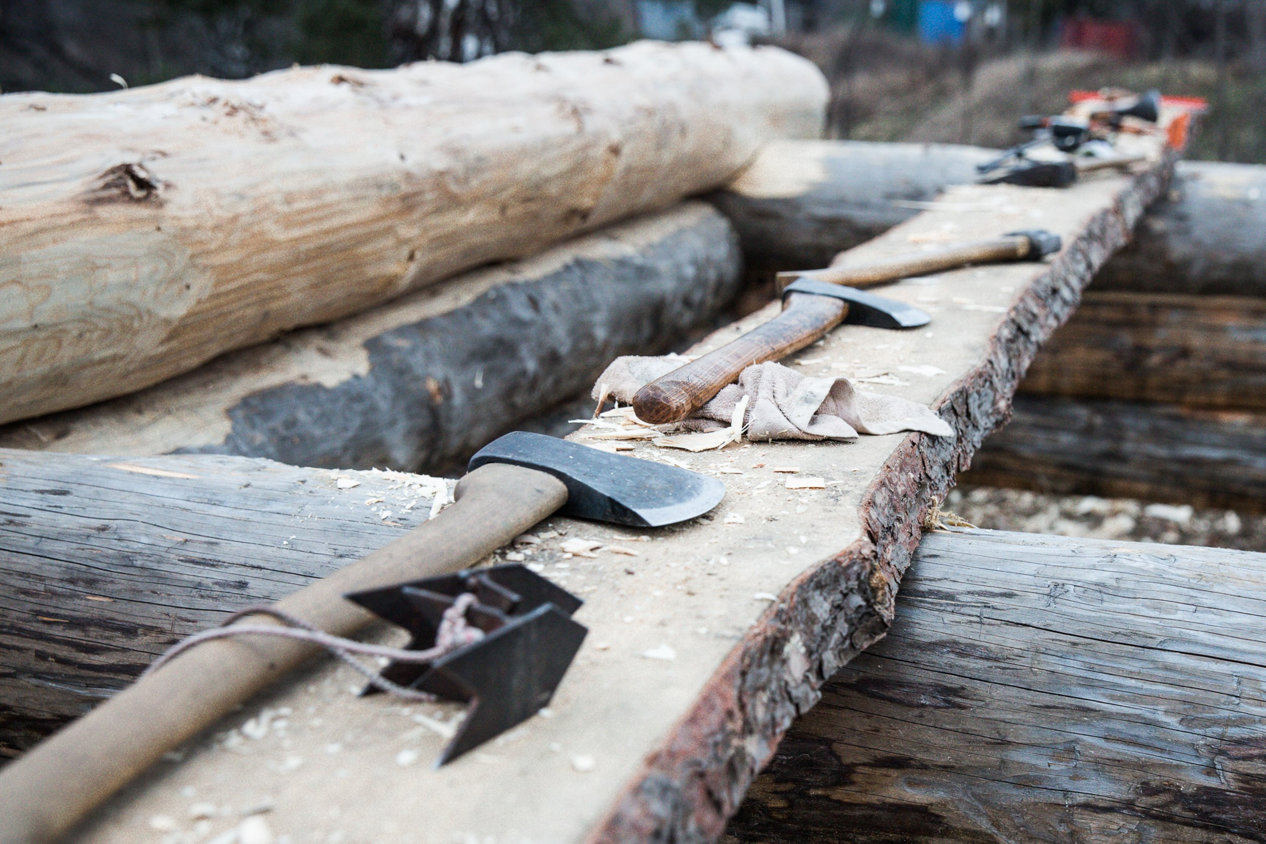 Братья по северу. Юлия Невская режиссер и сценарист документального кино, документальный фотограф