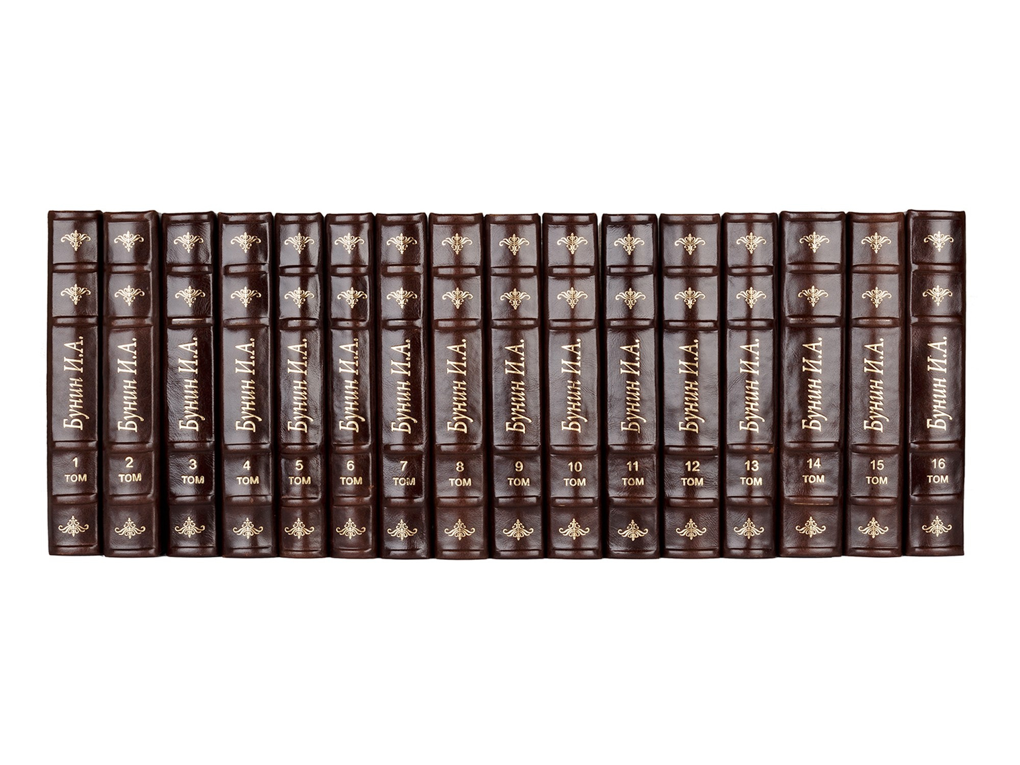 Сборник книг Бкнин И.А.