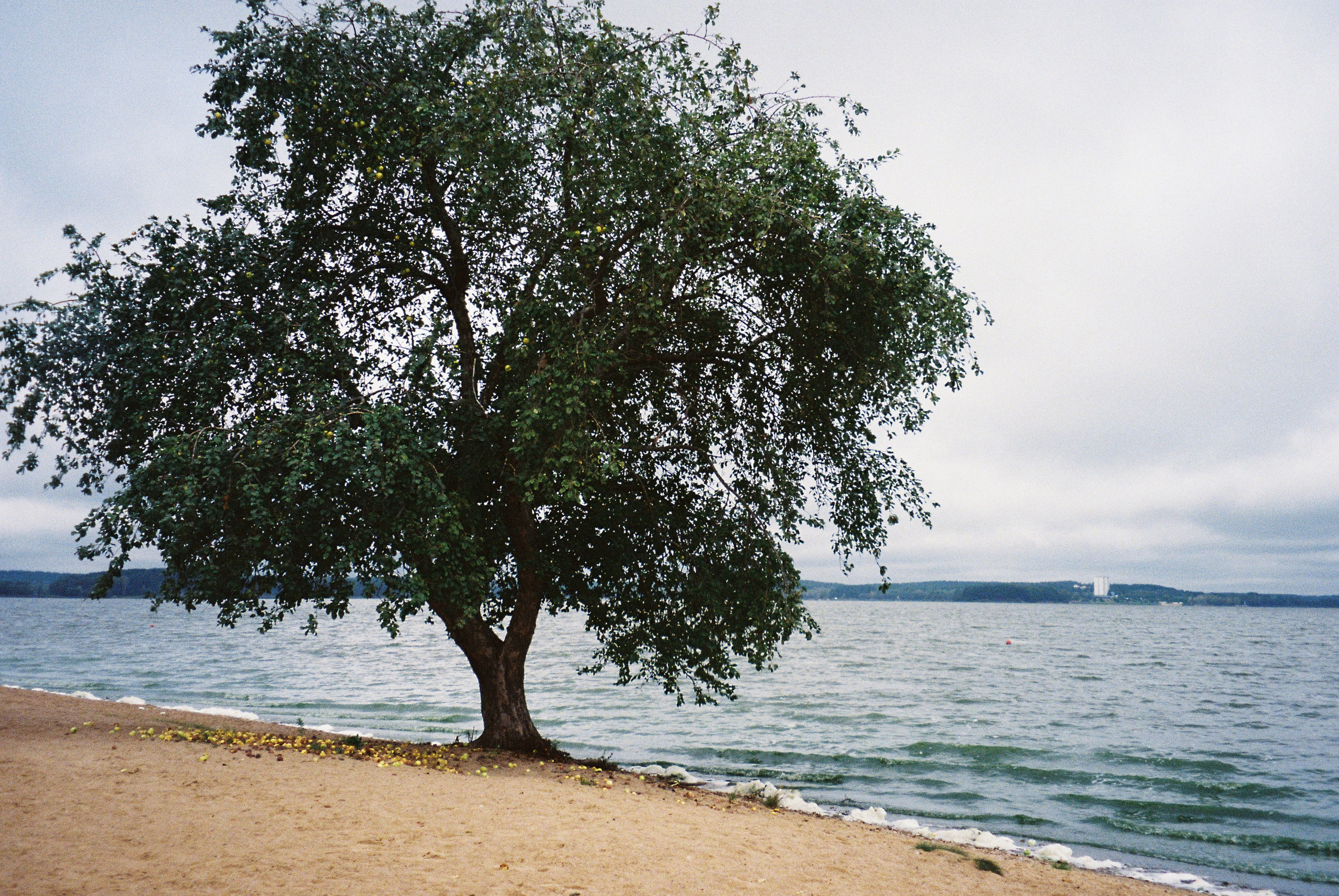 Женские портреты. Алина Арбузова. Фотограф в Санкт-Петербурге