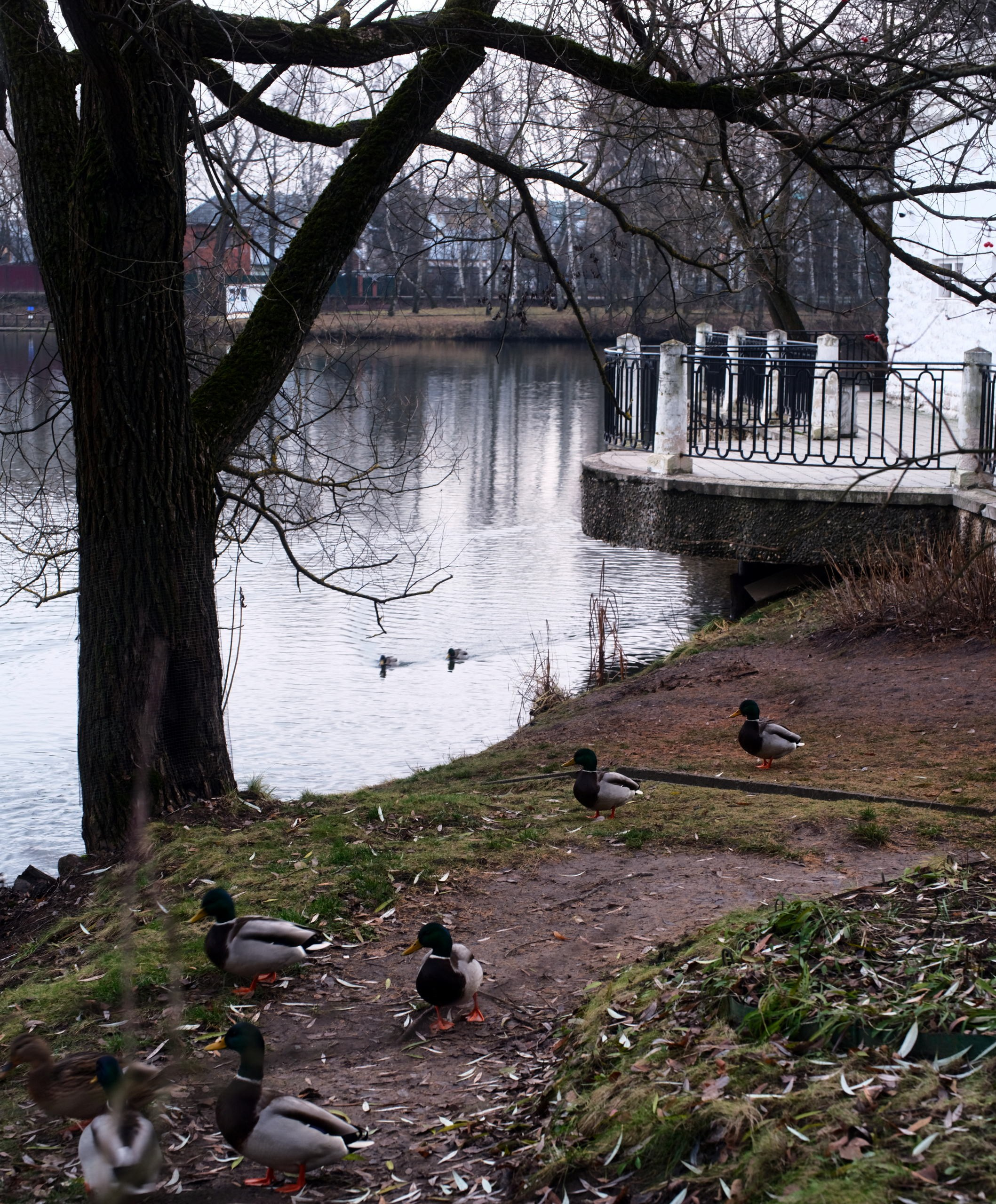 Усадьба Остафьево. Paintings by the artist Sergey Ratchin