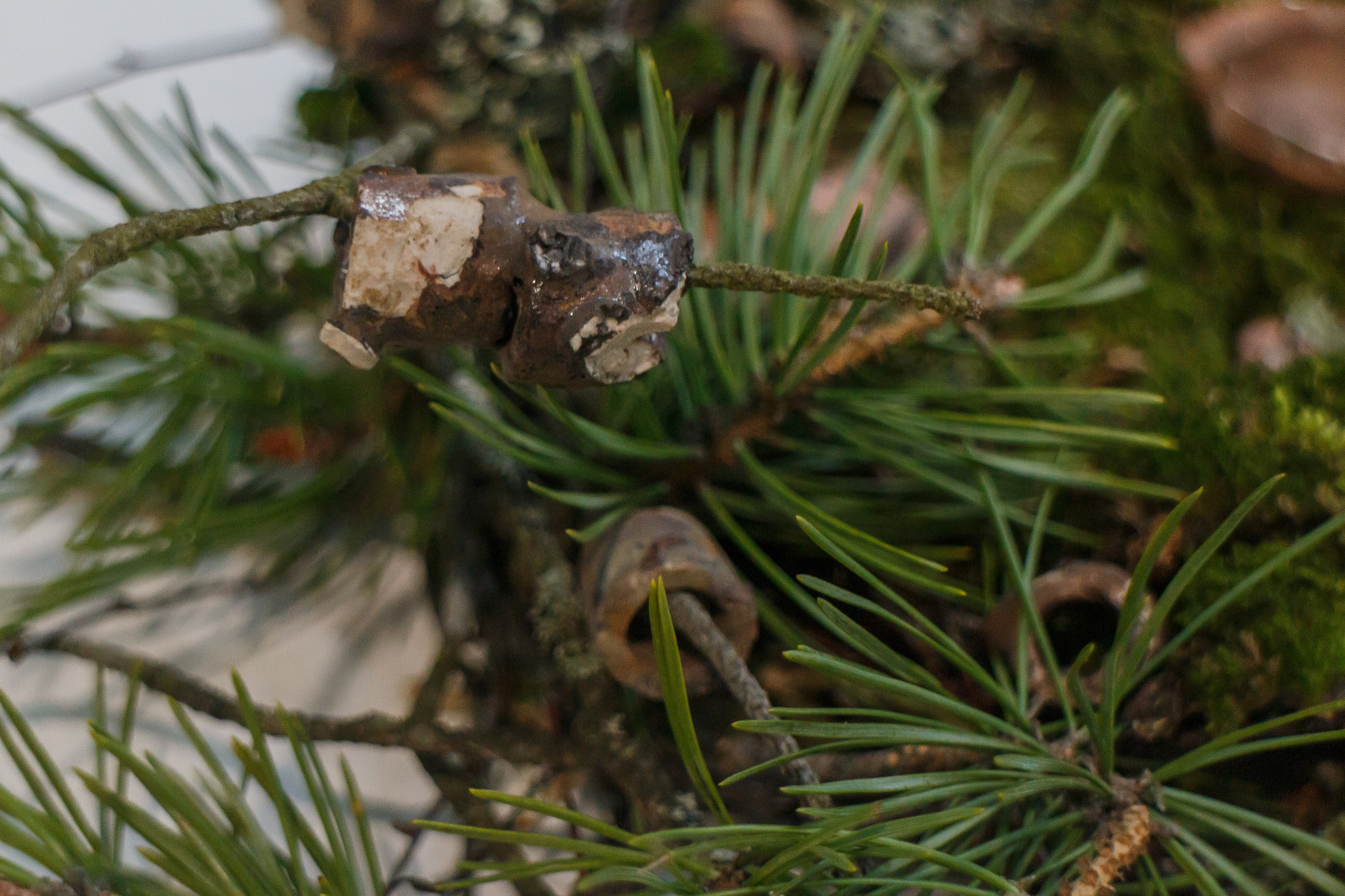 56,0123320, 38,39001773. Козлова Екатерина. Междисциплинарная визуальная художница