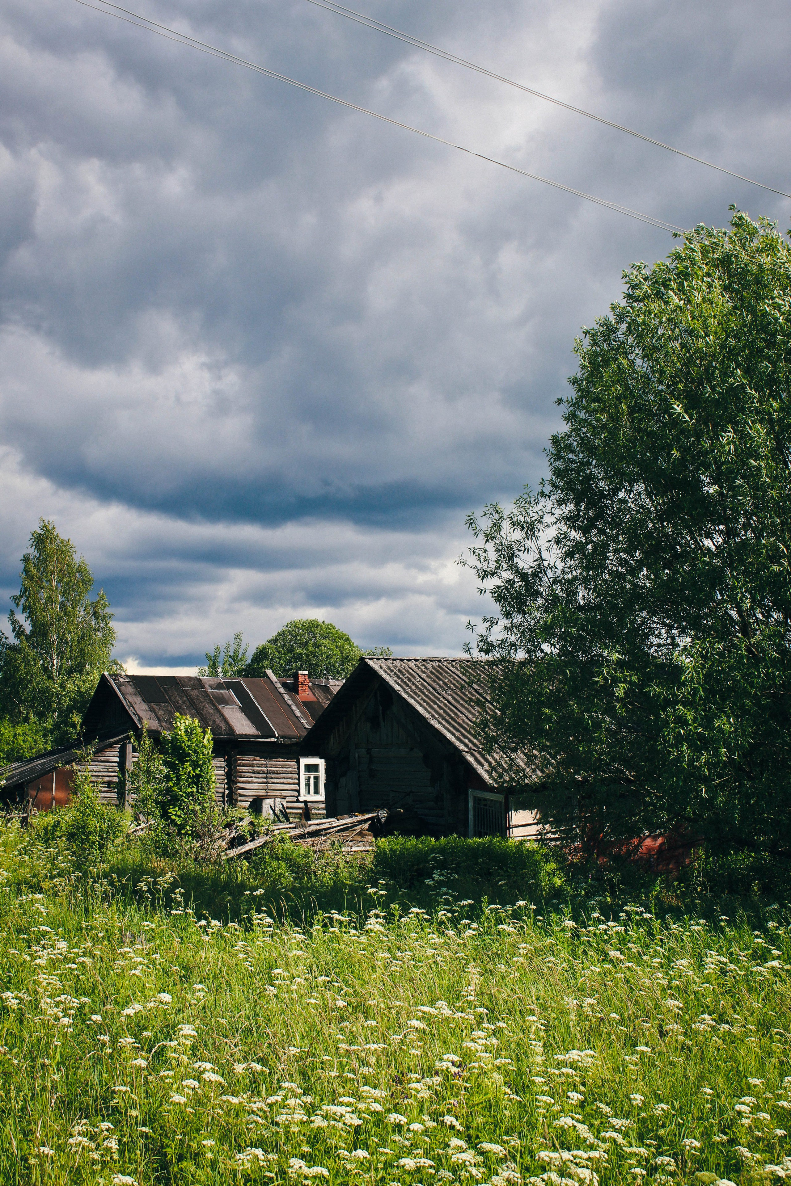 Дер. Климово, пос. Мирный. Фотограф Ксения Монахова