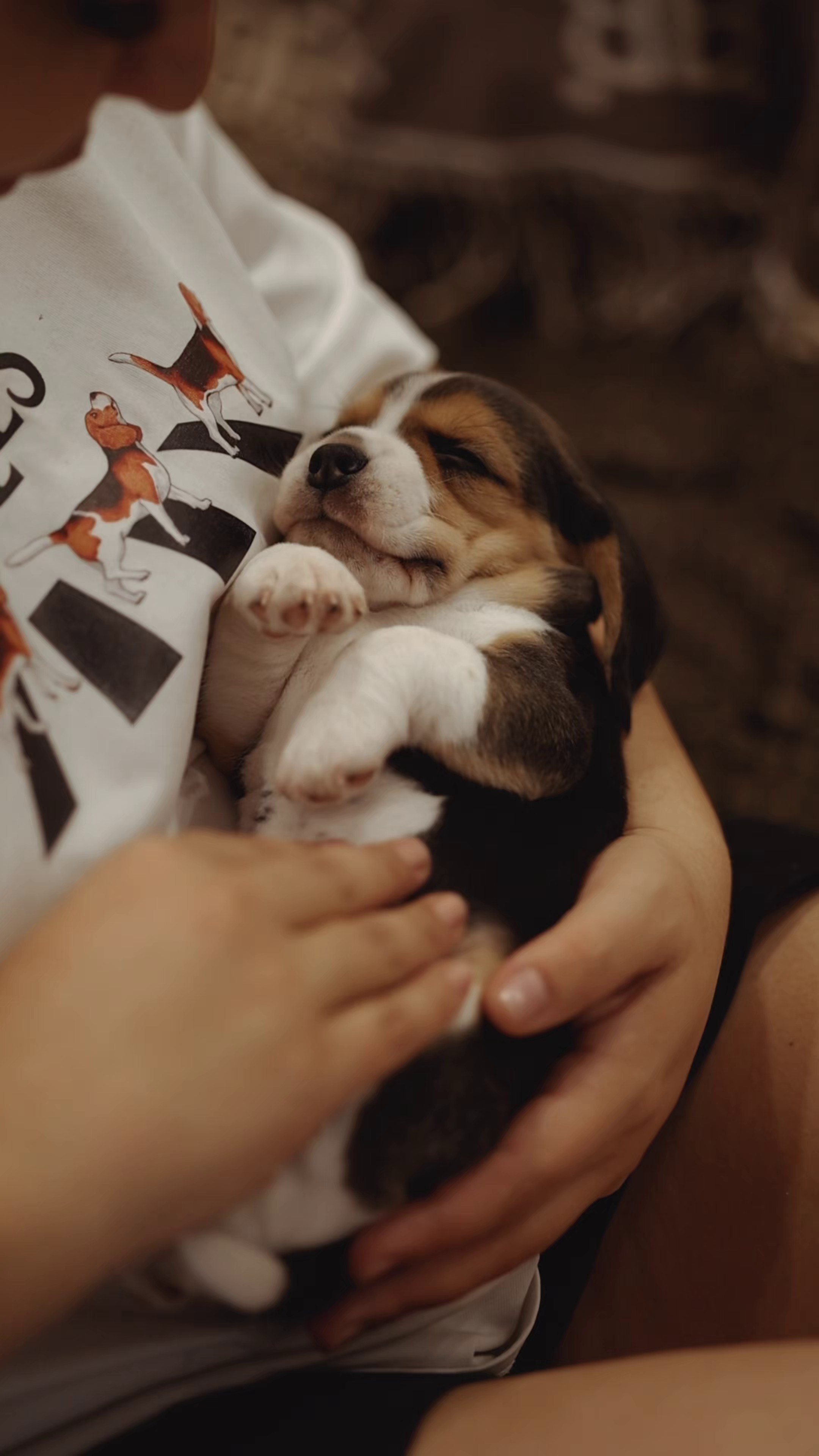 Фотограф-анималист в Краснодаре Маша Мельникова