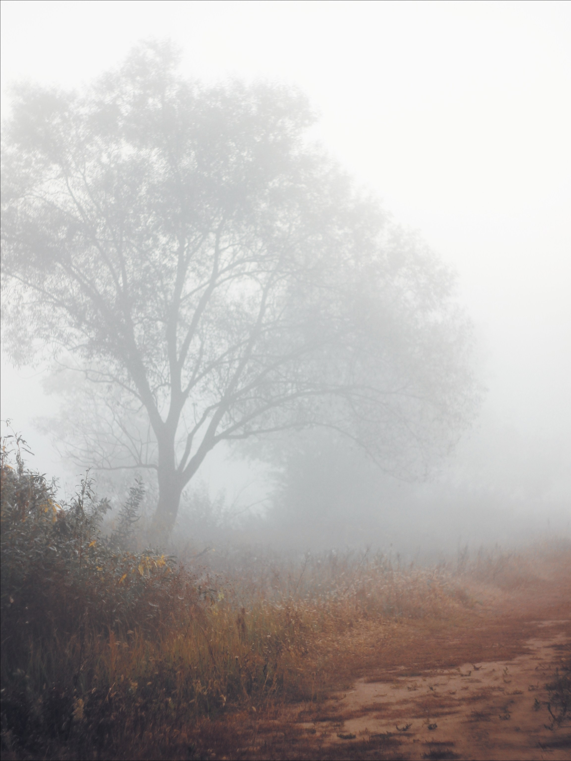 Опустошенность. С любовью, фотохудожник