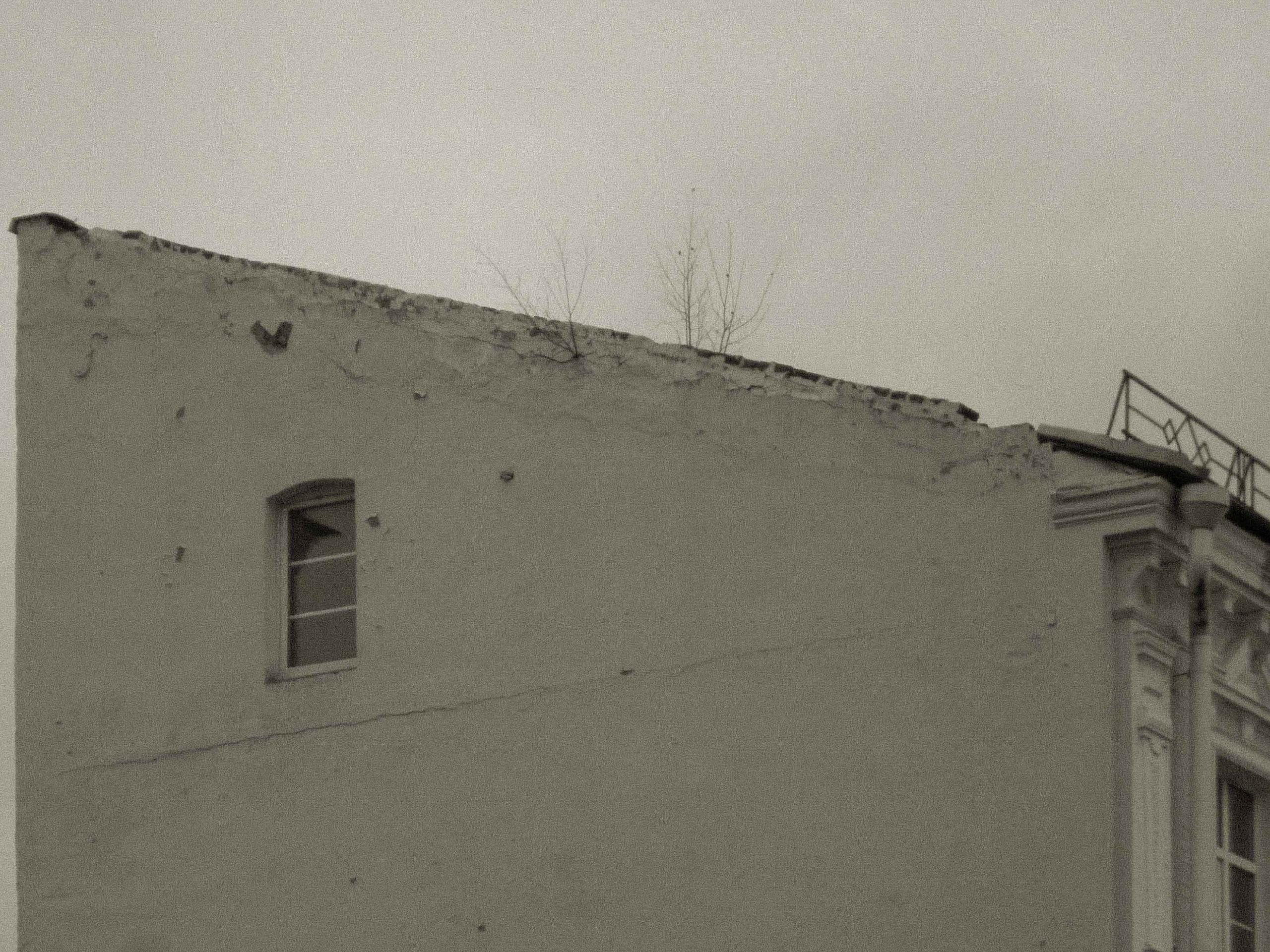 Я шёл и не видел…. Свадебный фотограф Смоленск