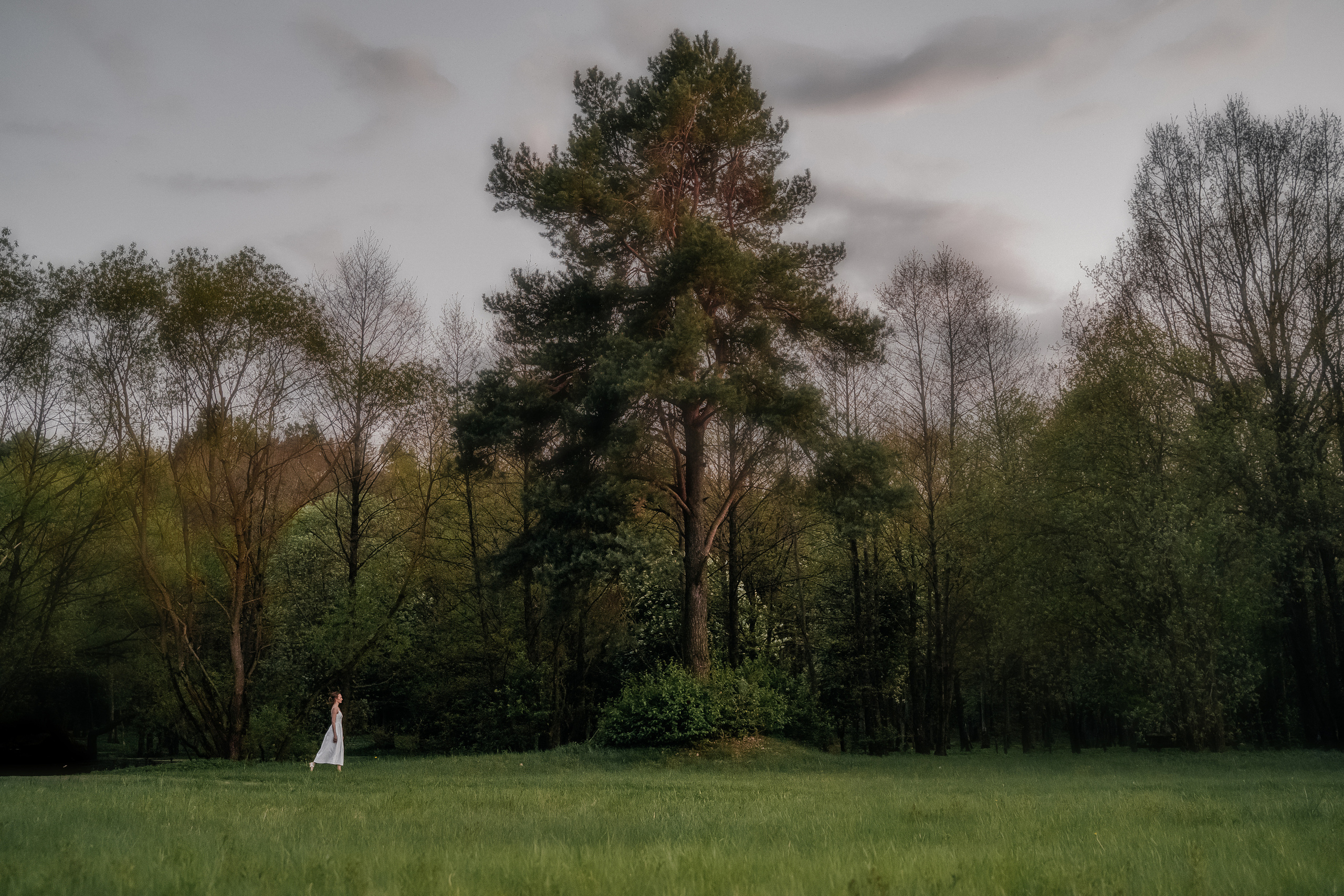 Виолетта и Артём (по мотивам «Красавица и Чудовище»). Свадебный Фотограф Минск || Фото и Видеосъёмка Минск || Другие города