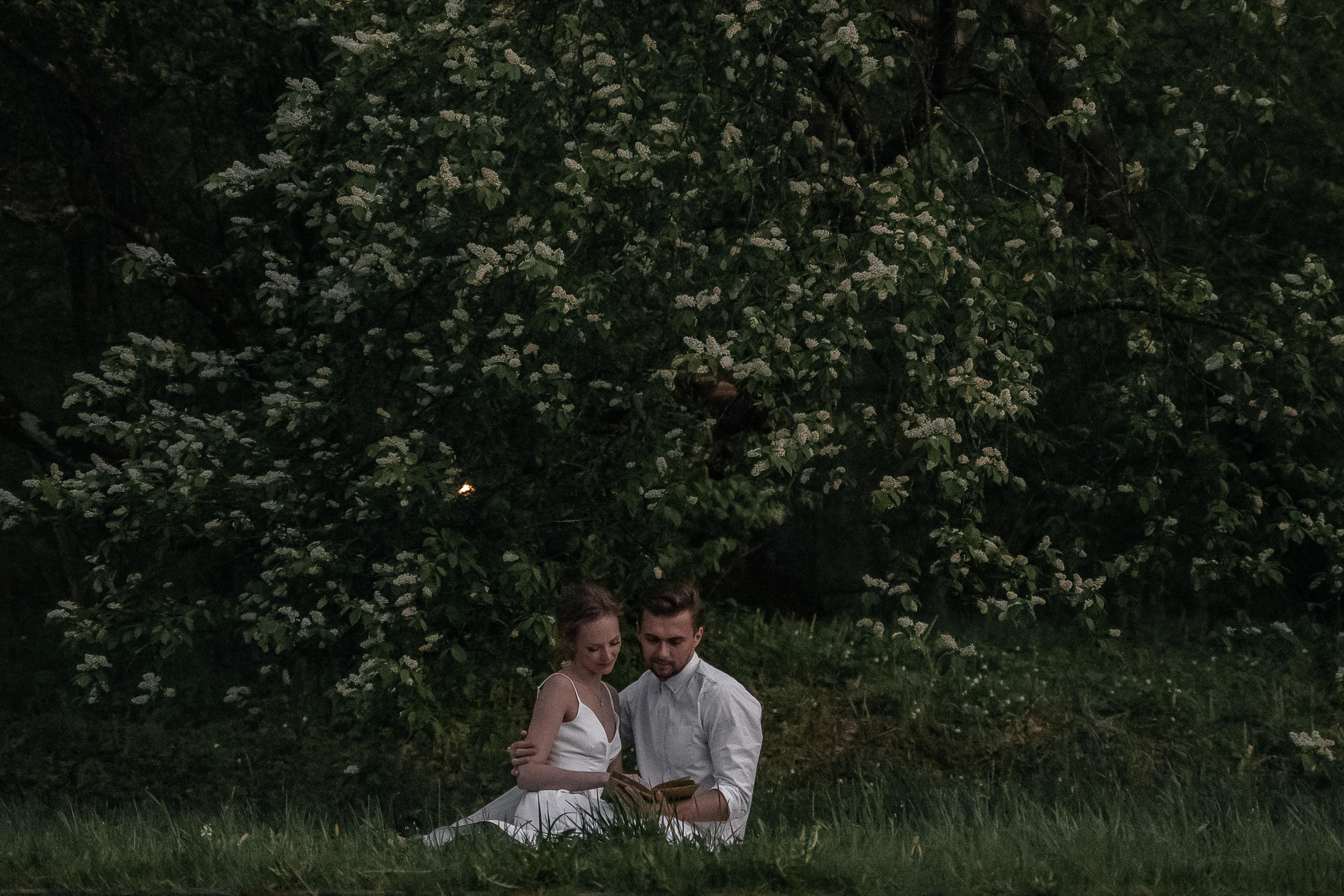 Виолетта и Артём (по мотивам «Красавица и Чудовище»). Свадебный Фотограф Минск || Фото и Видеосъёмка Минск || Другие города