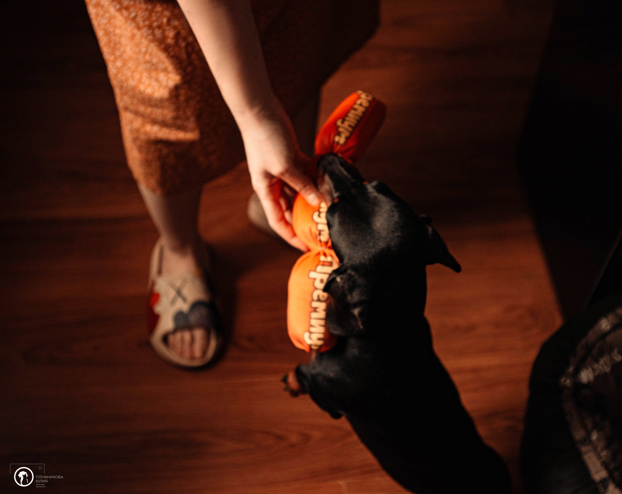 Таня и Грант. Фотограф — анималист Саратов/Москва|Плужникова Юлия