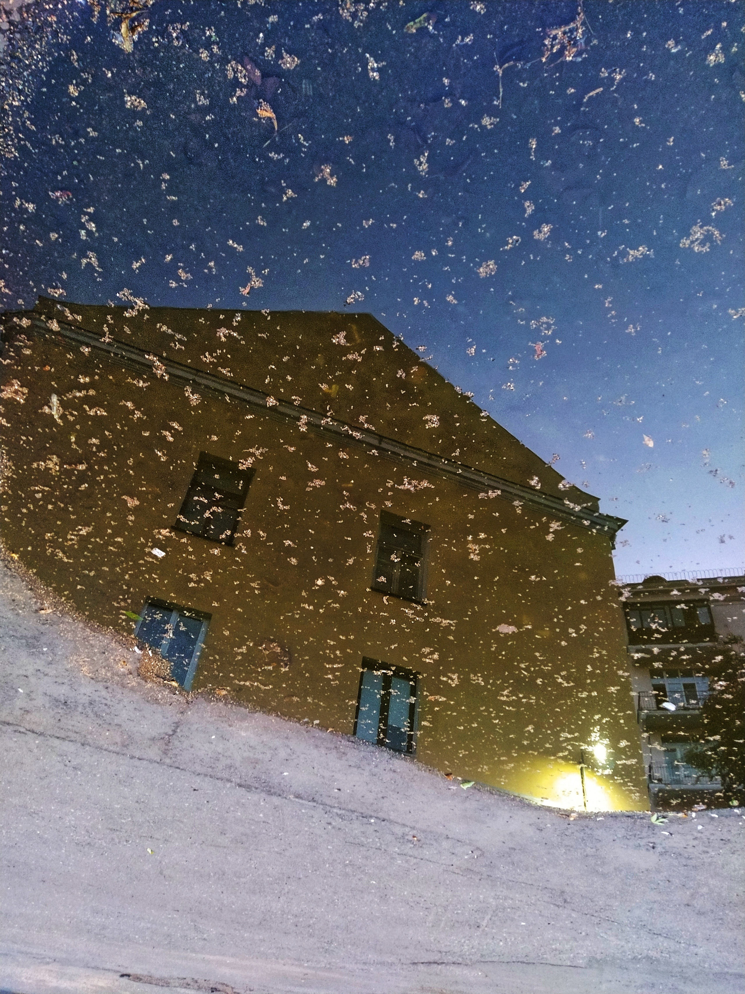 Глаза города М. (2018-2023). Tatyana Mazok творческий фотограф в Минске