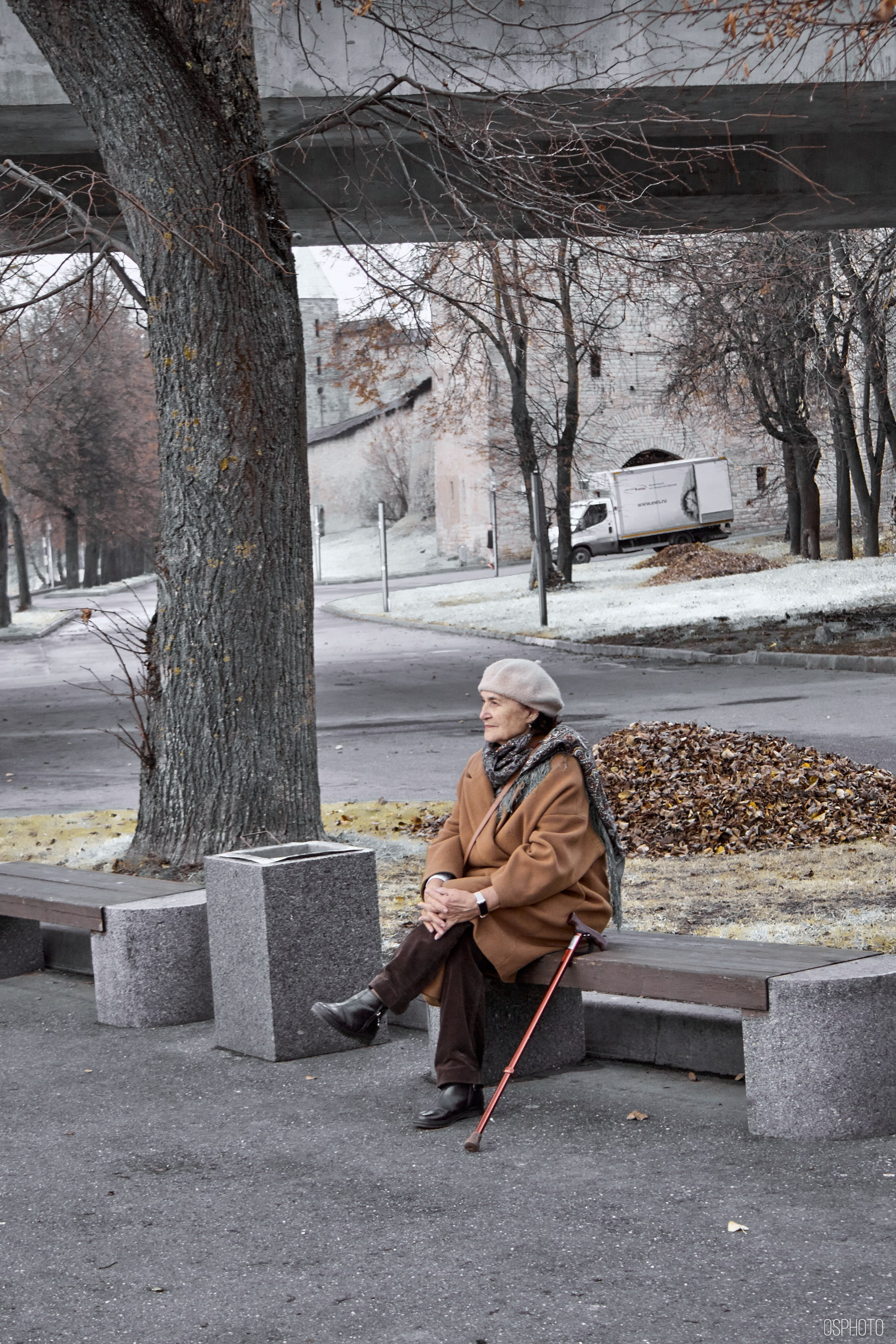 Псков. Ноябрь. Фотографъ Сергѣевъ. Поймать мгновеніе