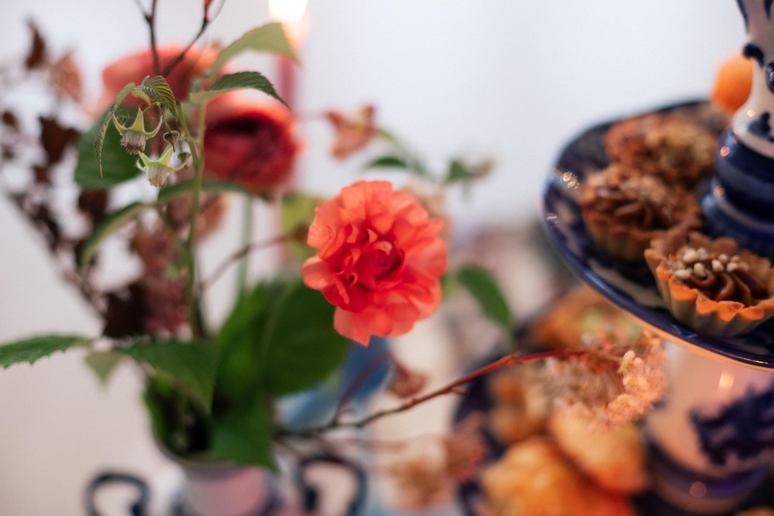 5 O'CLOCK TEA. СВОИ. ФОТООТЧЕТЫ-СОБЫТИЯ-МЕСТА