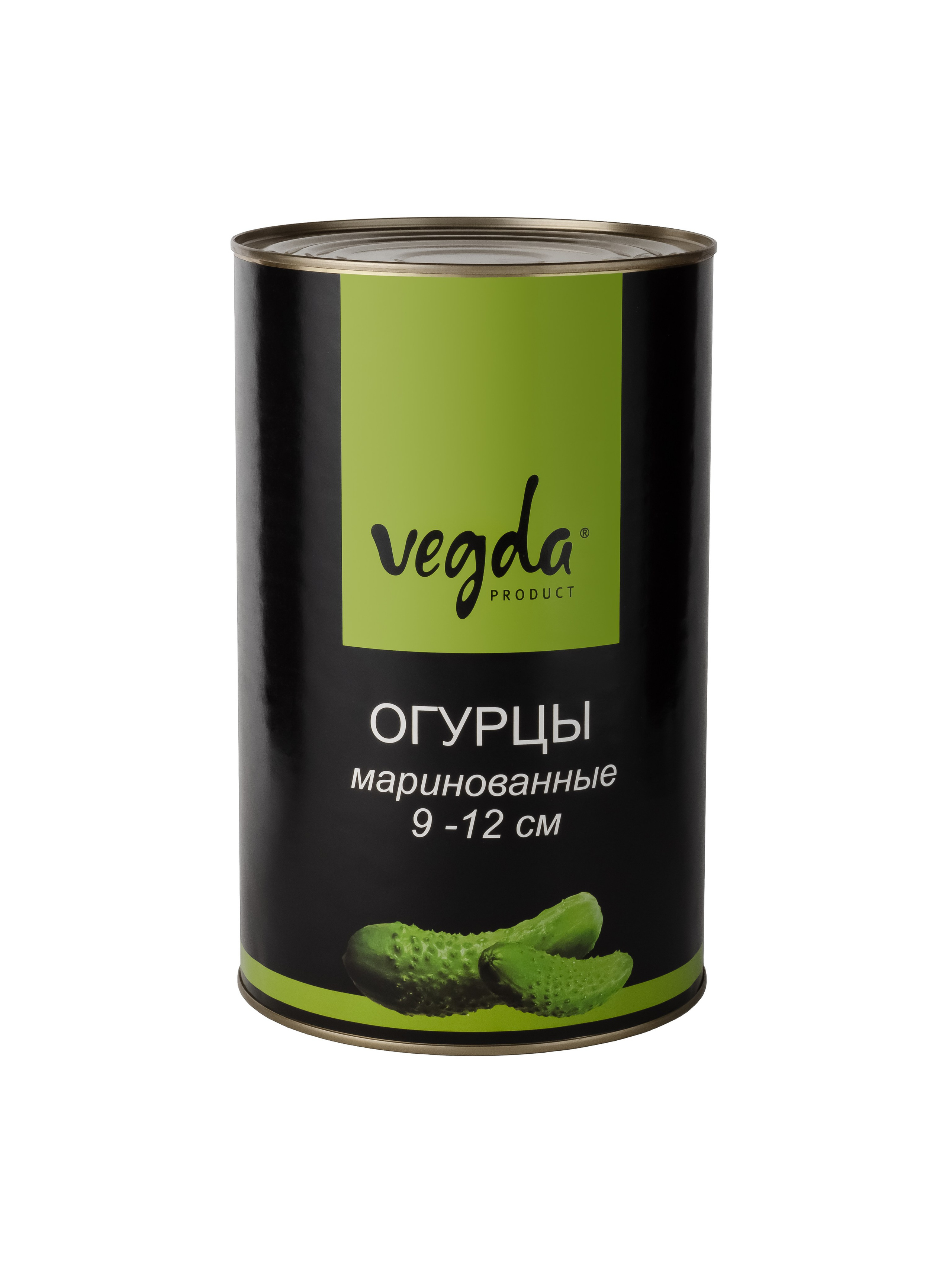 Каталог Vegda. Фотограф и видеограф Виктор Пати