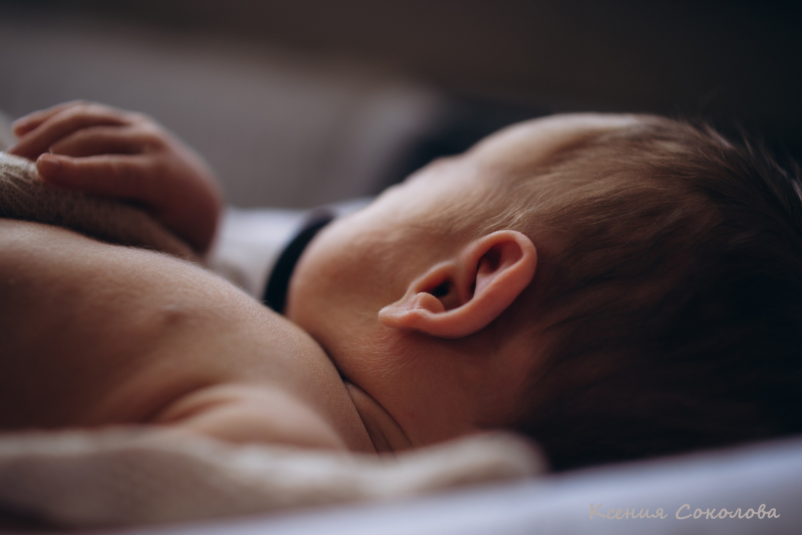 Семейный и newborn lifestyle фотограф в Магнитогорске Ксения Соколова