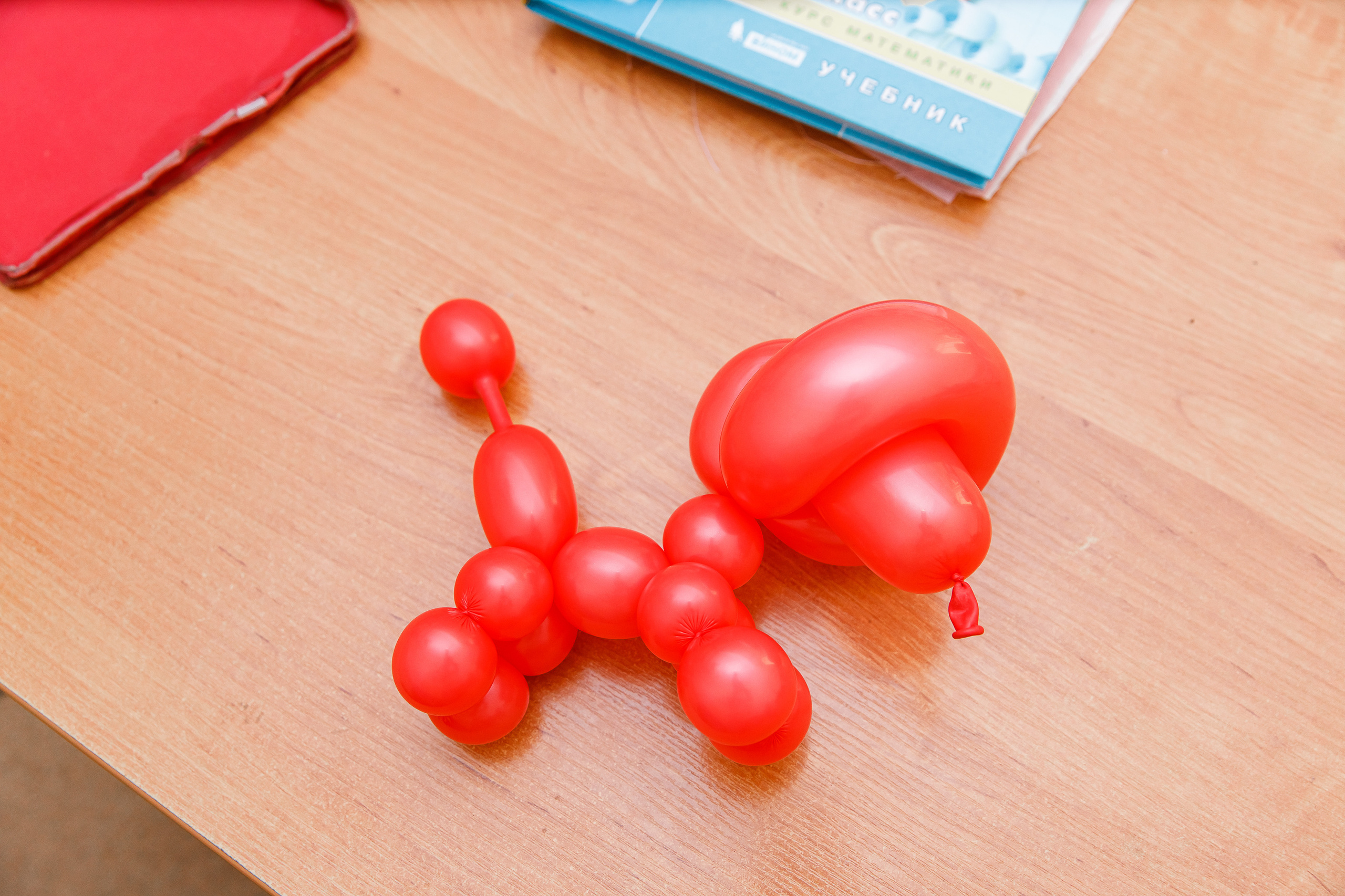 Школьный репортаж + портреты. Маша Гонтарь Семейный домашний репортажный фотограф в Санкт-Петербурге