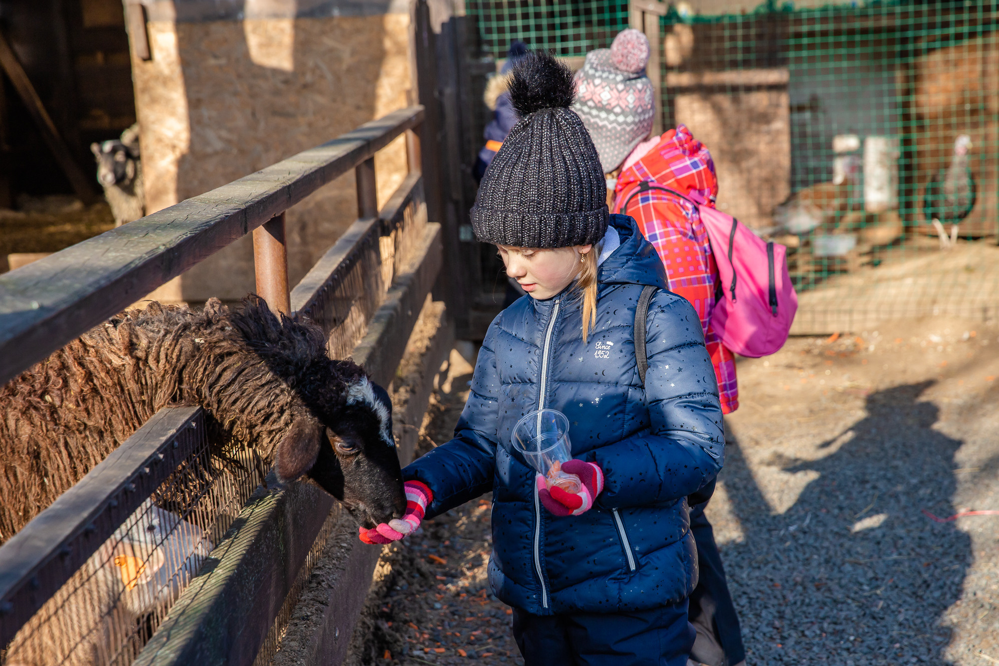 Школьный репортаж + портреты. Маша Гонтарь Семейный домашний репортажный фотограф в Санкт-Петербурге