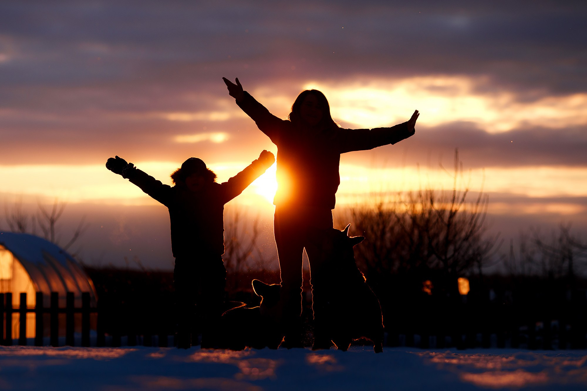 Фотограф-анималист Mary Mart — Москва, Питер