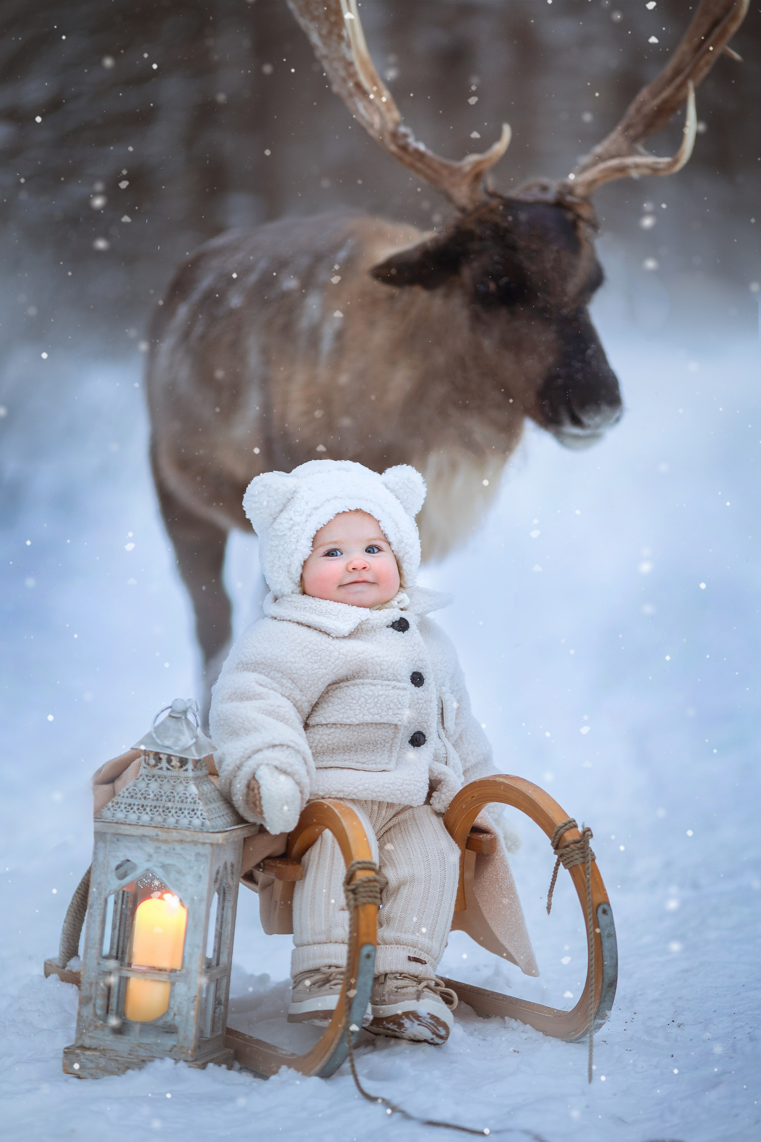 Фотосессия с оленями. Фотограф Лия Милк | Москва, Подмосковье