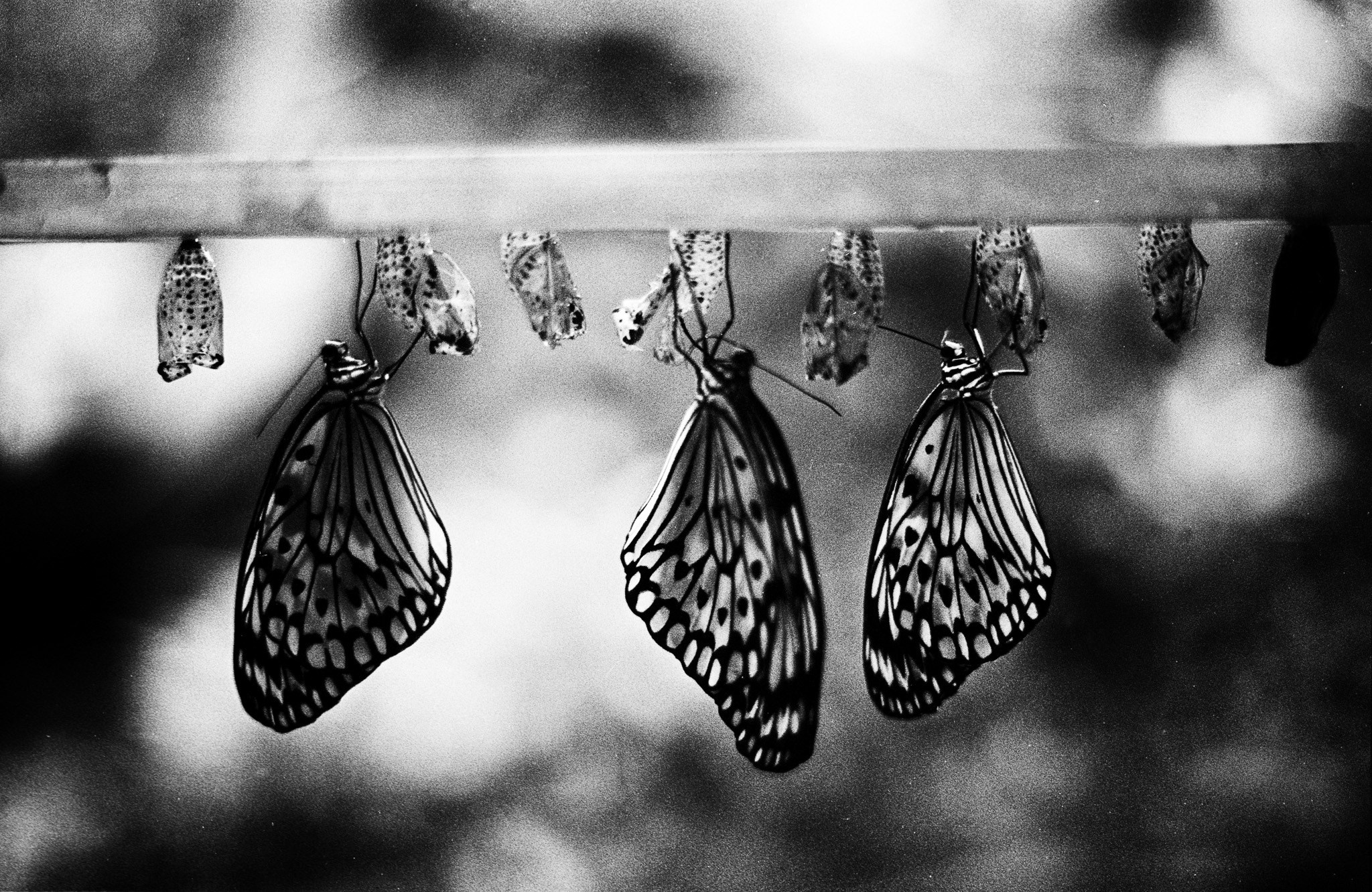 Авторские стили в фотографии. Рекламный и коммерческий фотограф | Георгий Романов