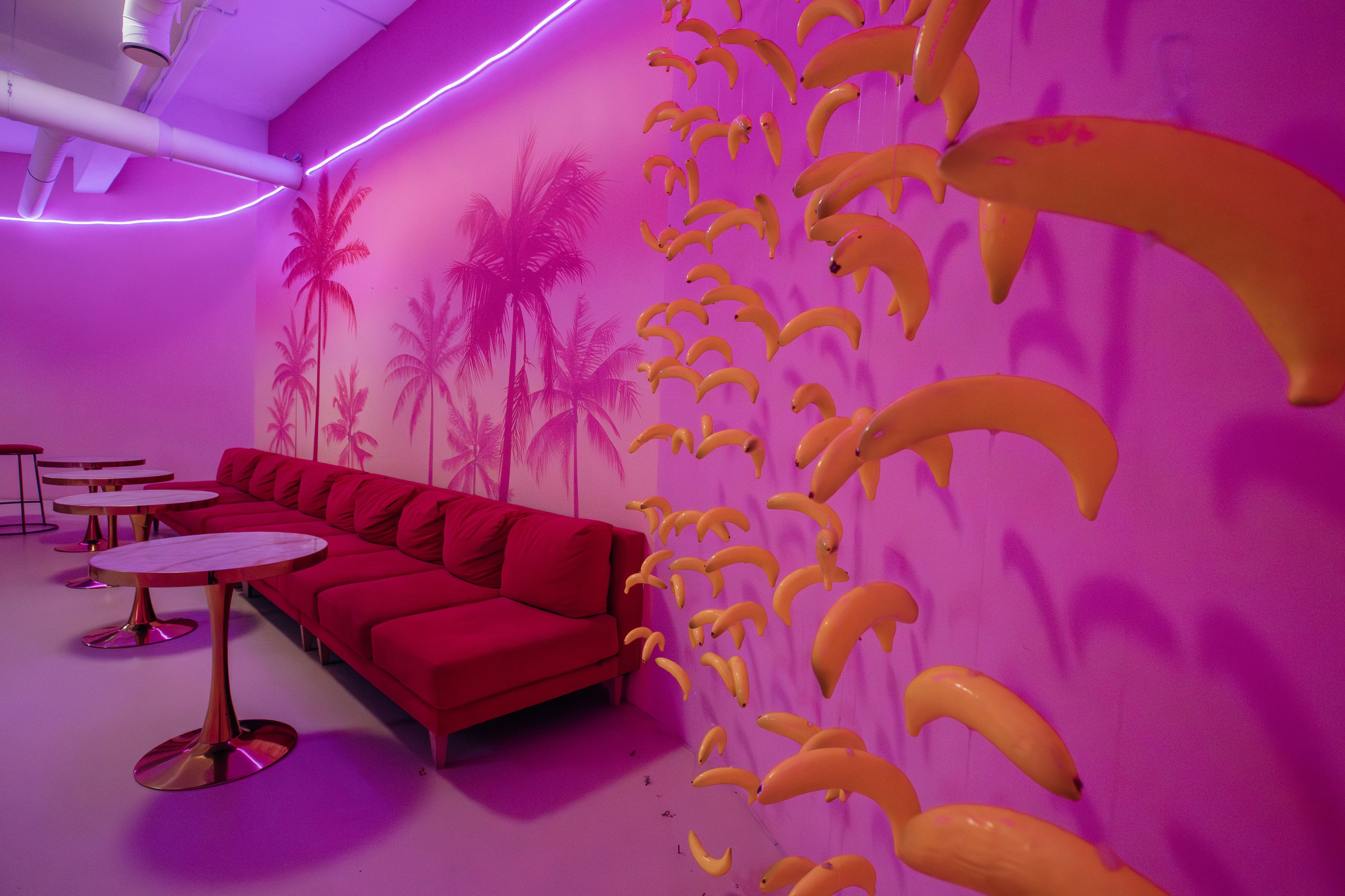 Mr. Flamingo (лето). Аренда лофта в СПб для мероприятий