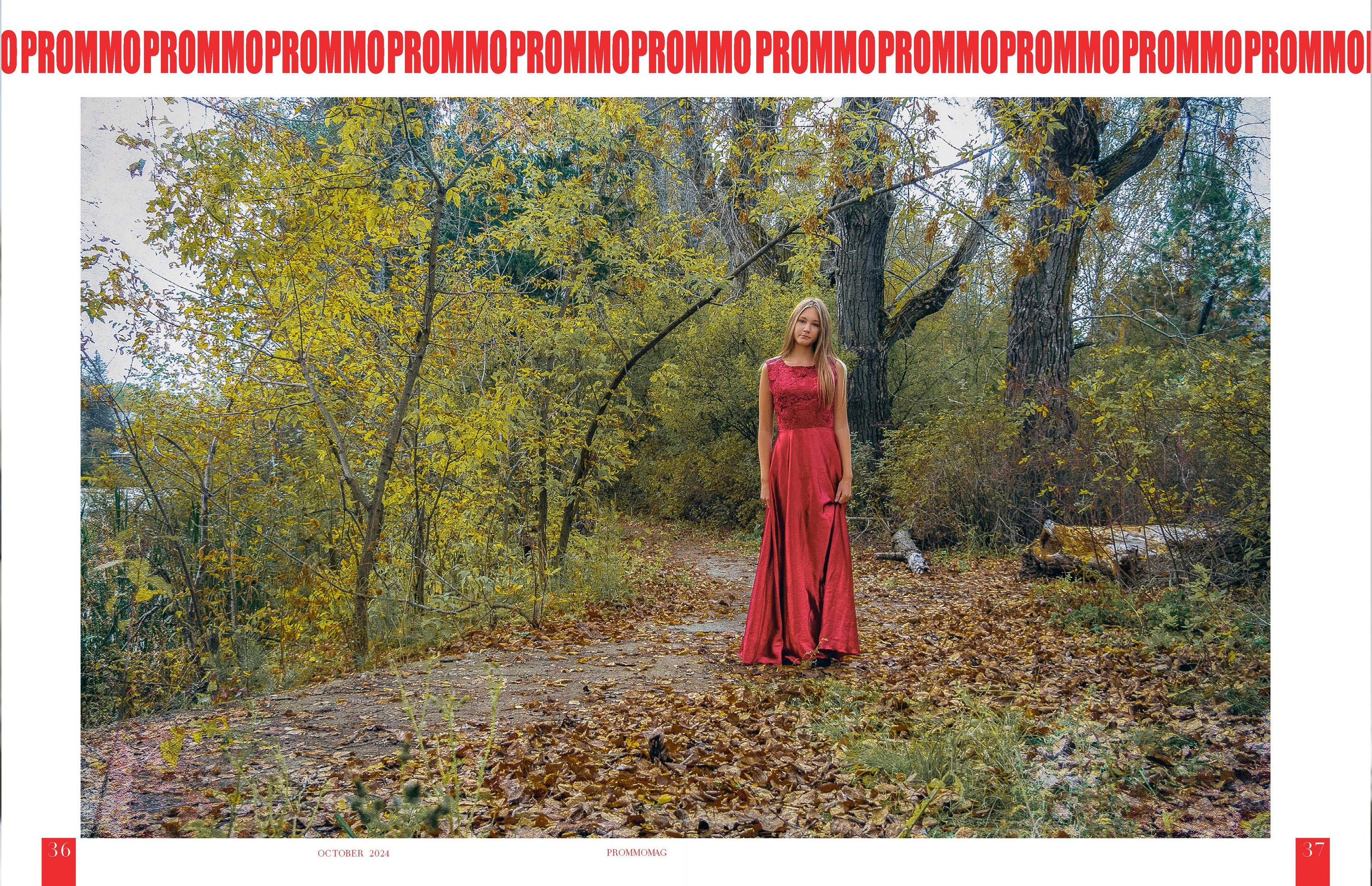 Публикации в журналах