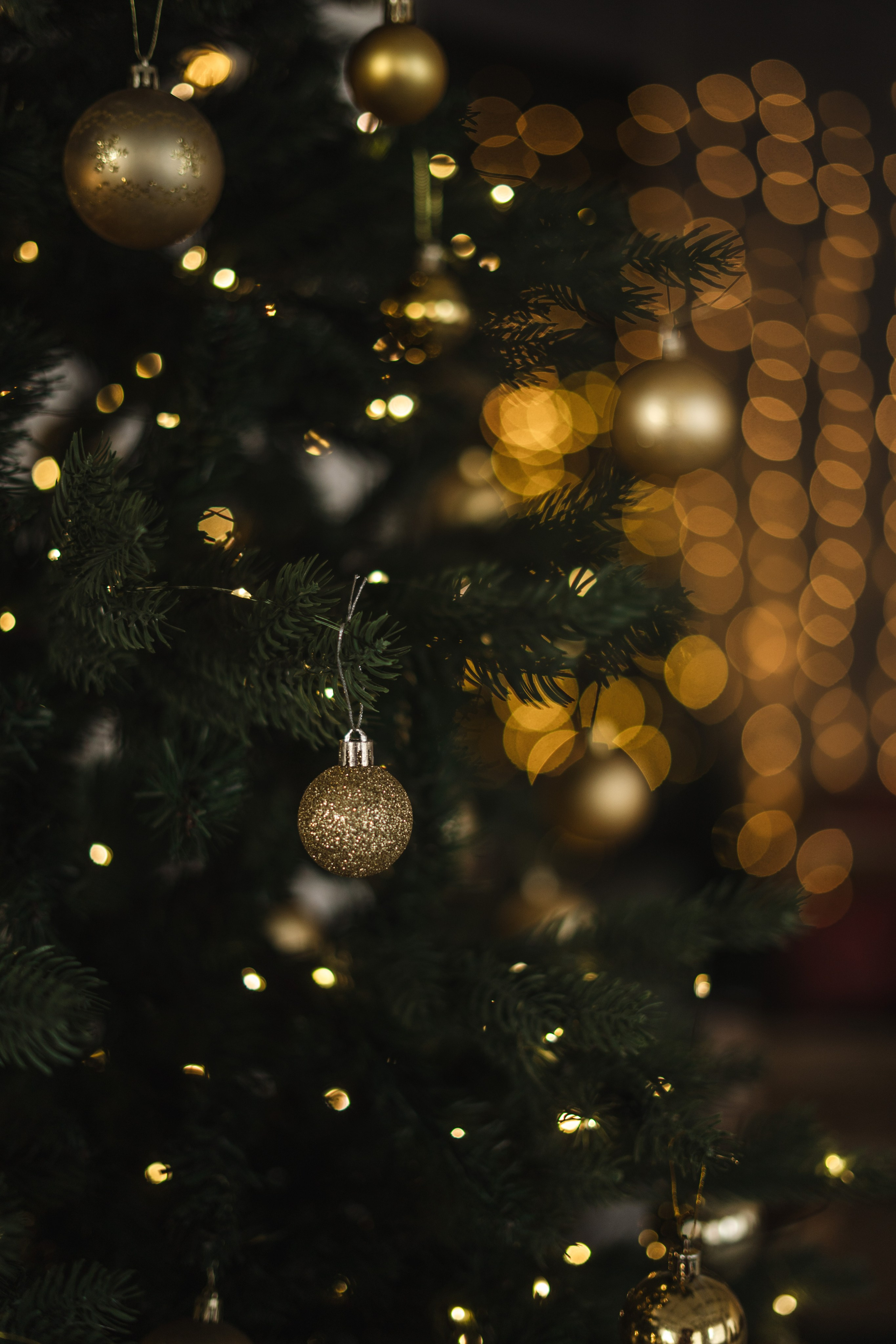 Фотостудия Импульс Новый год 2026 зал Life Лайф