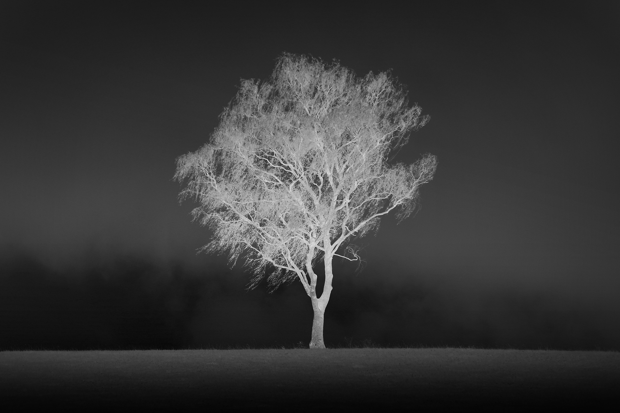 White and black, film negative. Семейный и детский фотограф в Буэнос-Айресе Перевозчикова Анна Fotógrafa de familia y niños en Buenos Aires Perevozchikova Anna