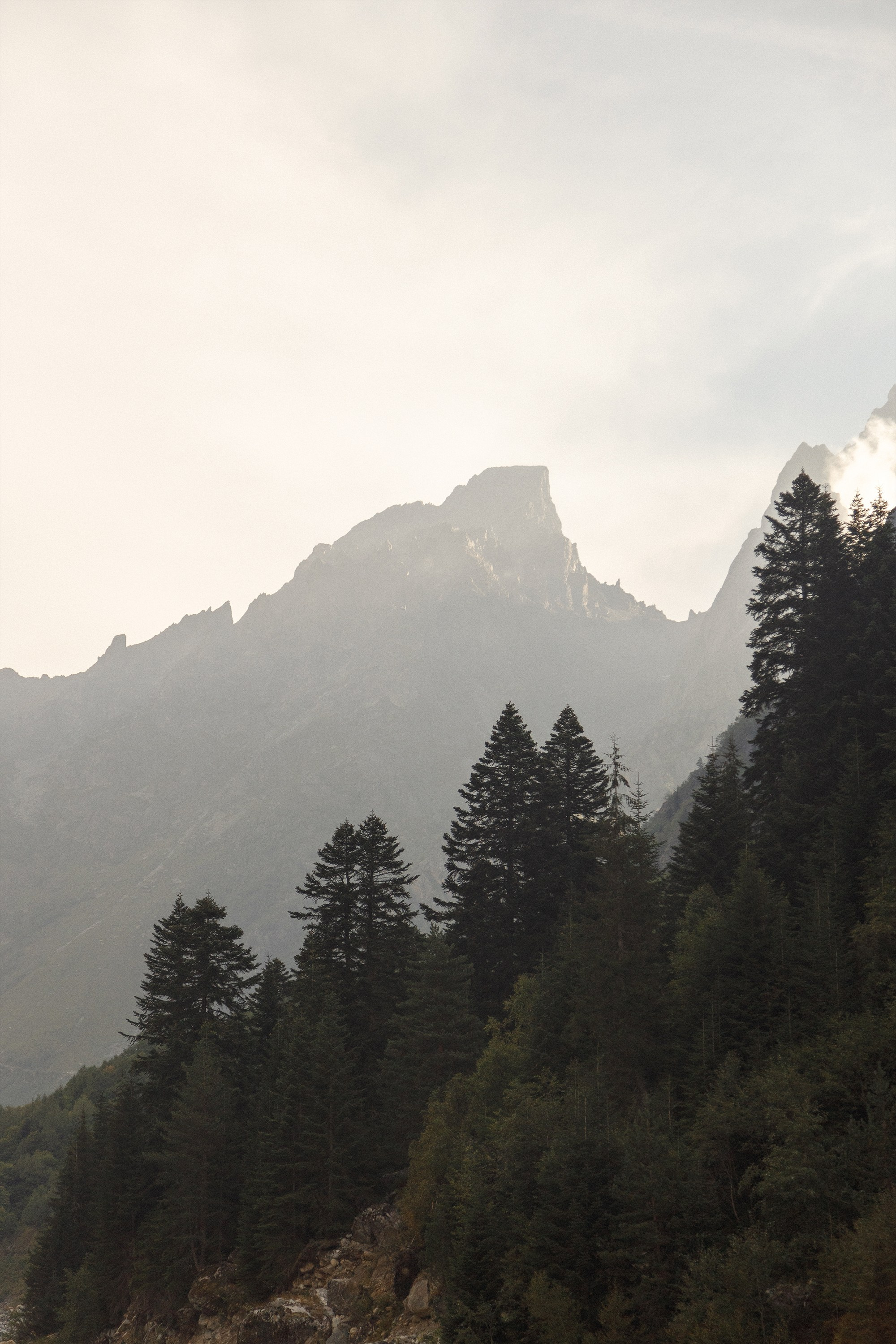 Classic Wedding presets