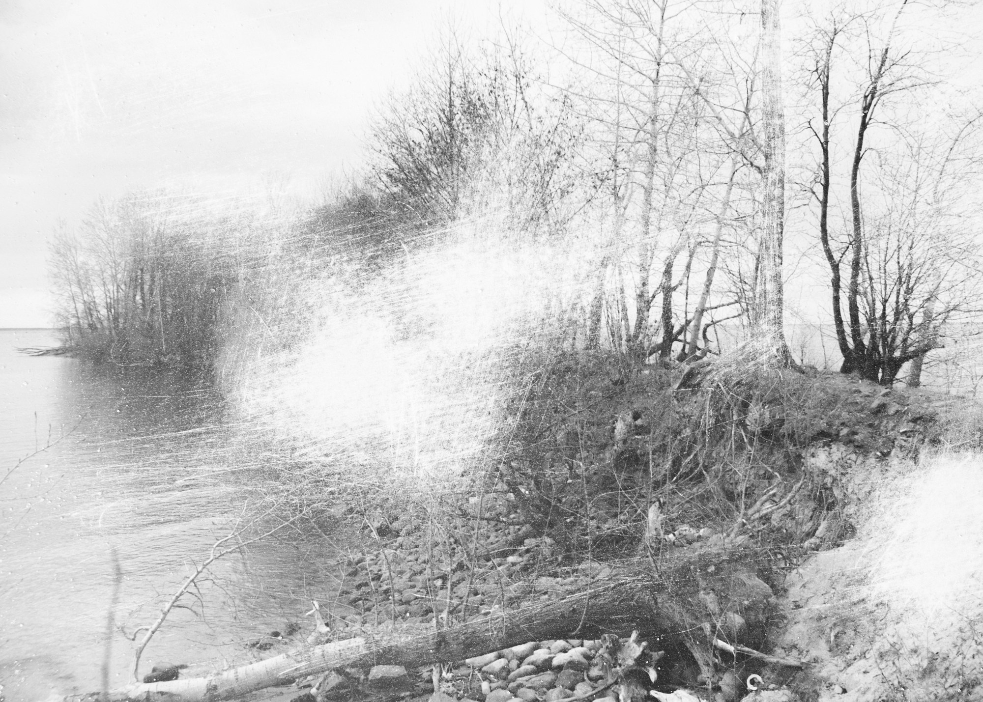 «Кошачий остров говорит со мной» Ольга Дякина (Санкт-Петербург). Выставочный проект «Опыт касаний» (офлайн и онлайн) Калининград