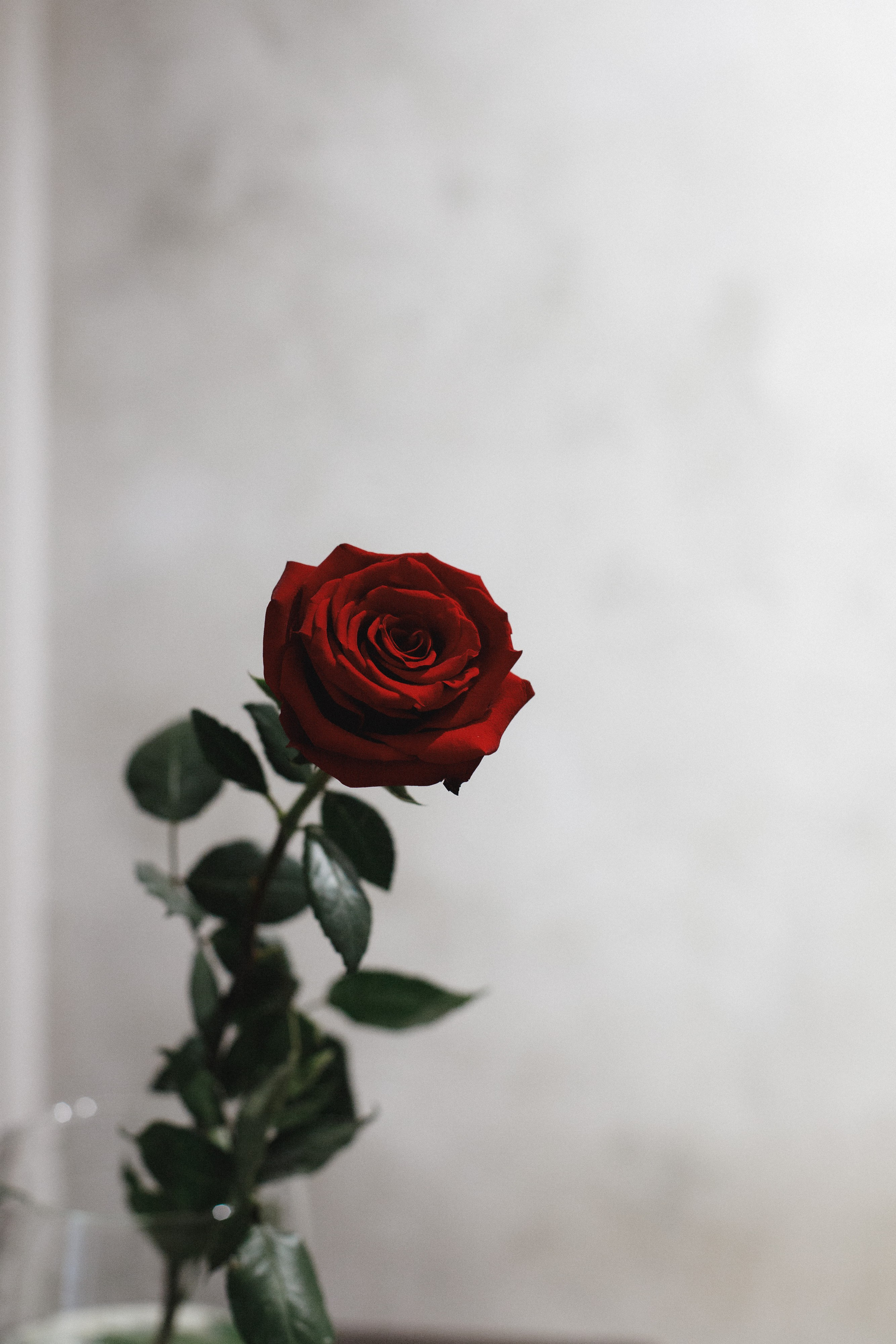 ФЕСТИВАЛЬ РОССИЙСКОГО ВИНА. СВОИ. ФОТООТЧЕТЫ-СОБЫТИЯ-МЕСТА