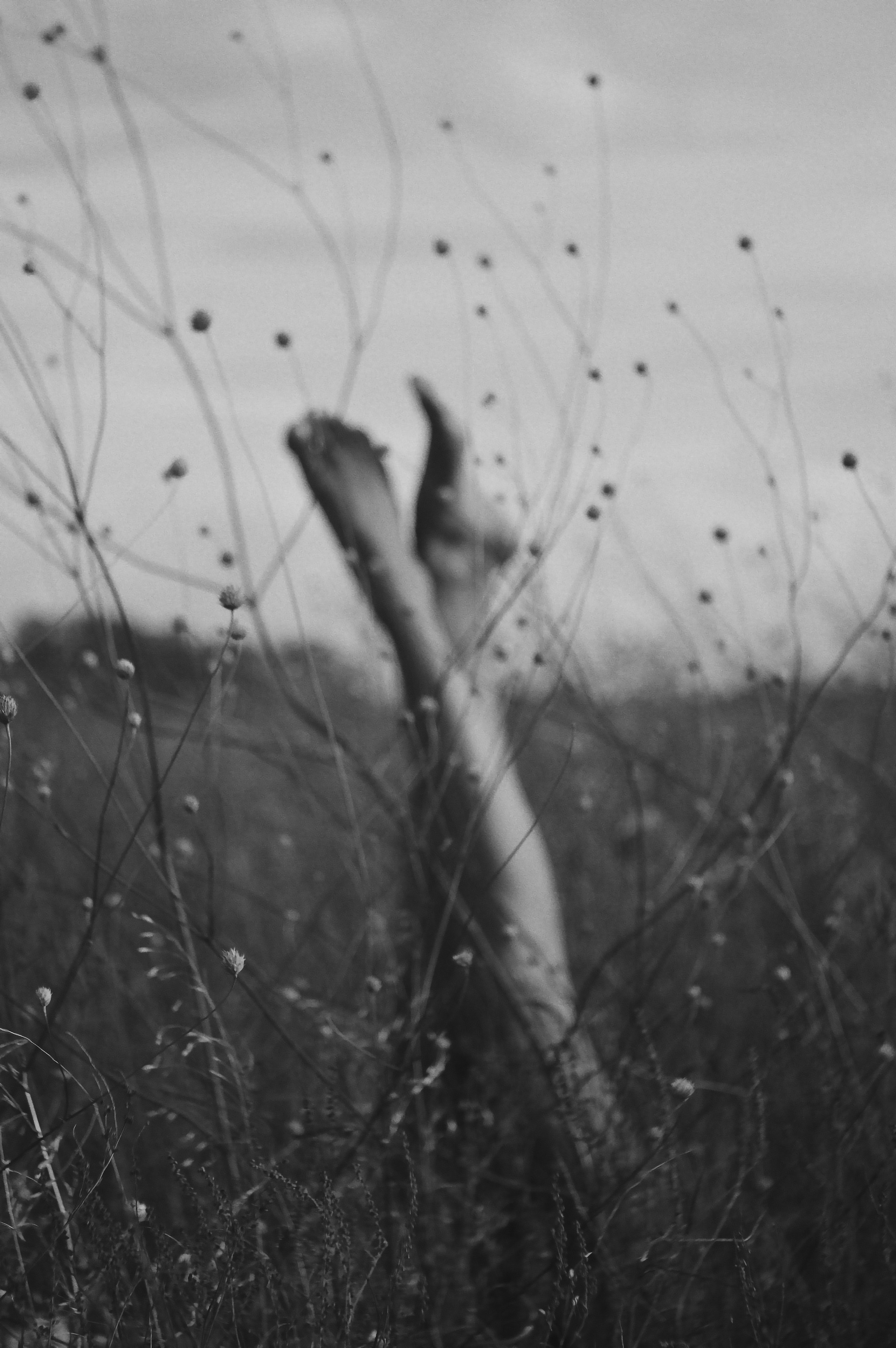 Фотограф Александра Рябова