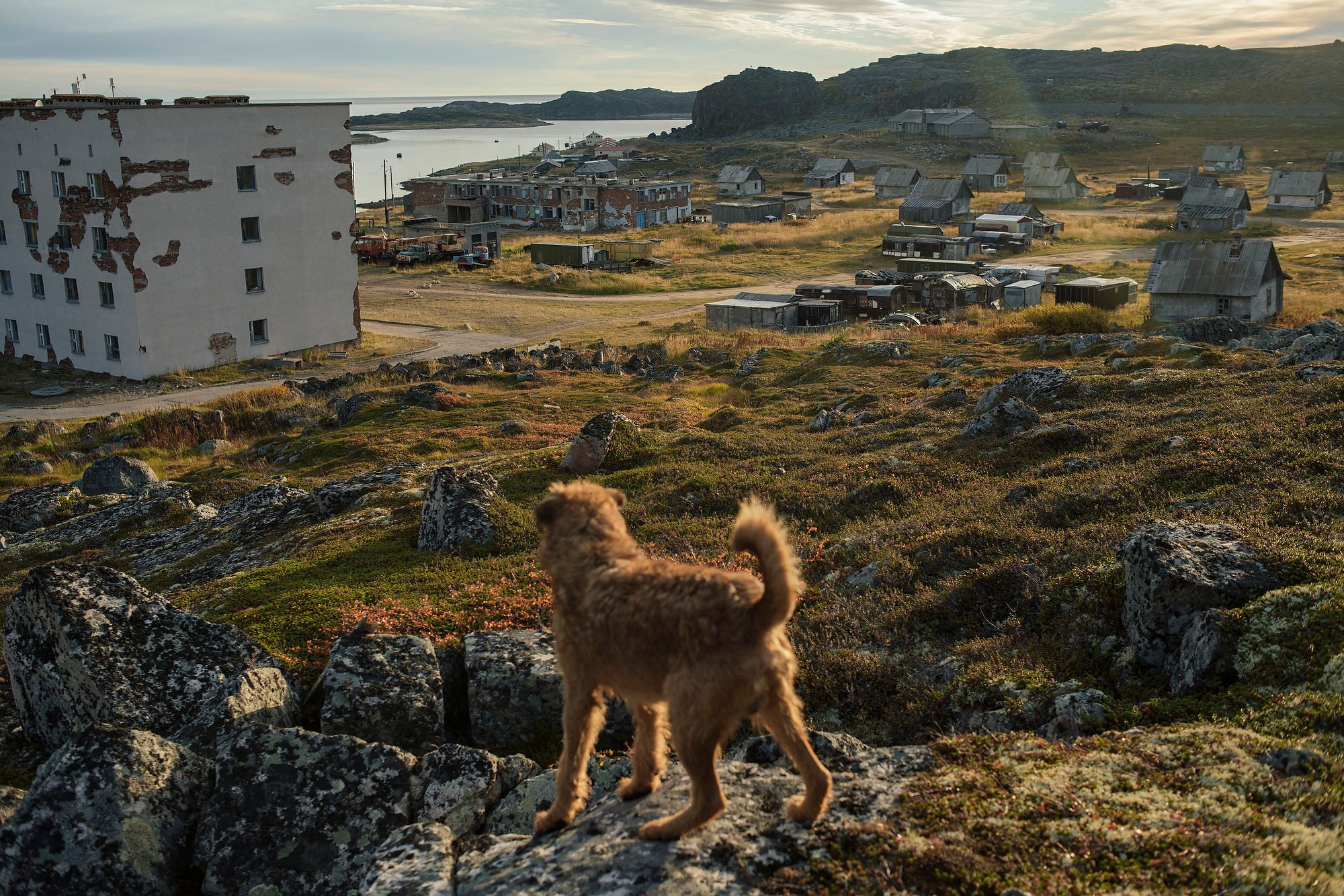 Фотосъемка для компании PayPal проекта #Гдебытынибыл. Фотограф Михаил Мордасов, Сочи. Мероприятия, портреты, спорт, репортаж