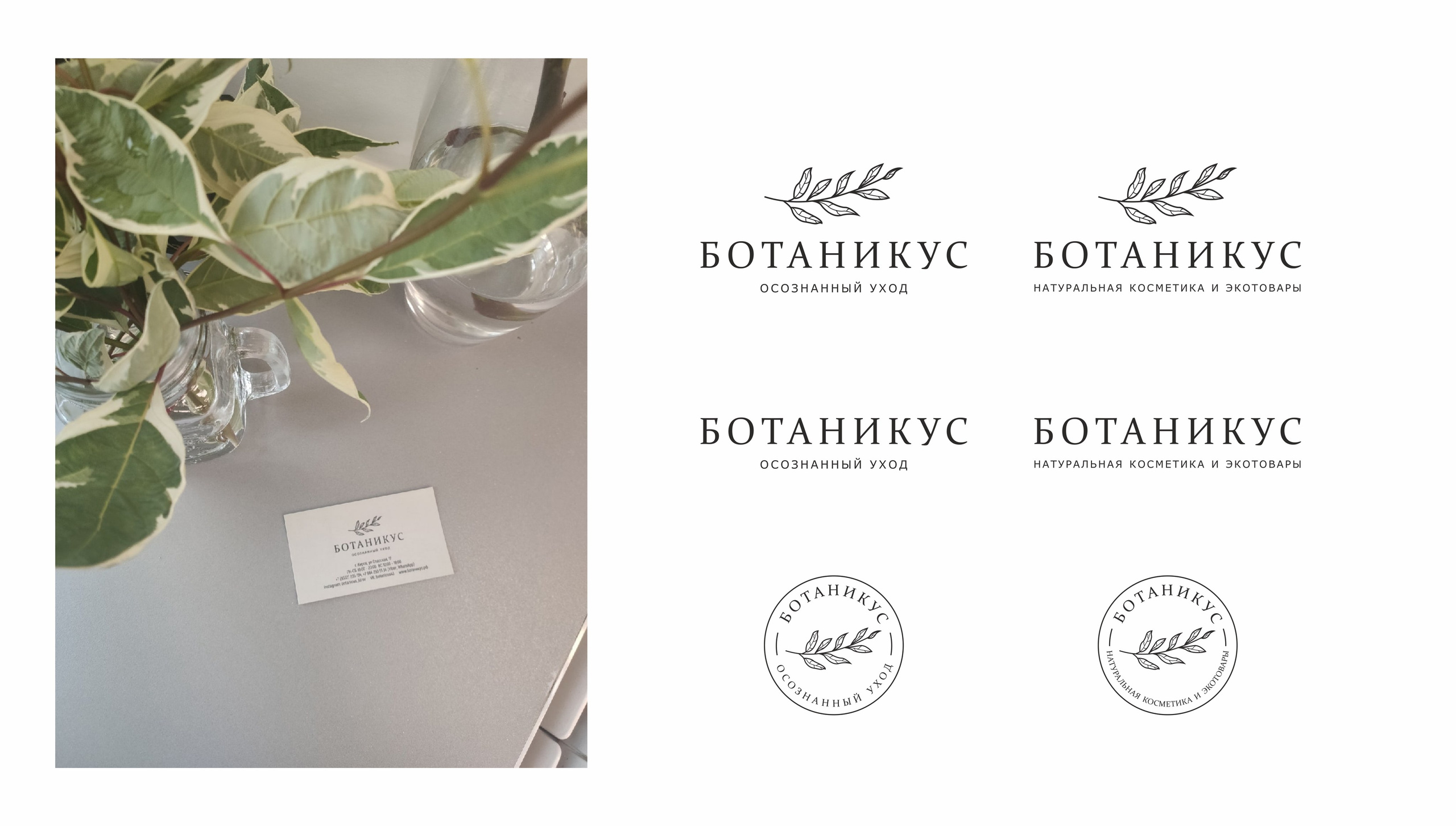 Логотип и фирменный стиль, Ботаникус