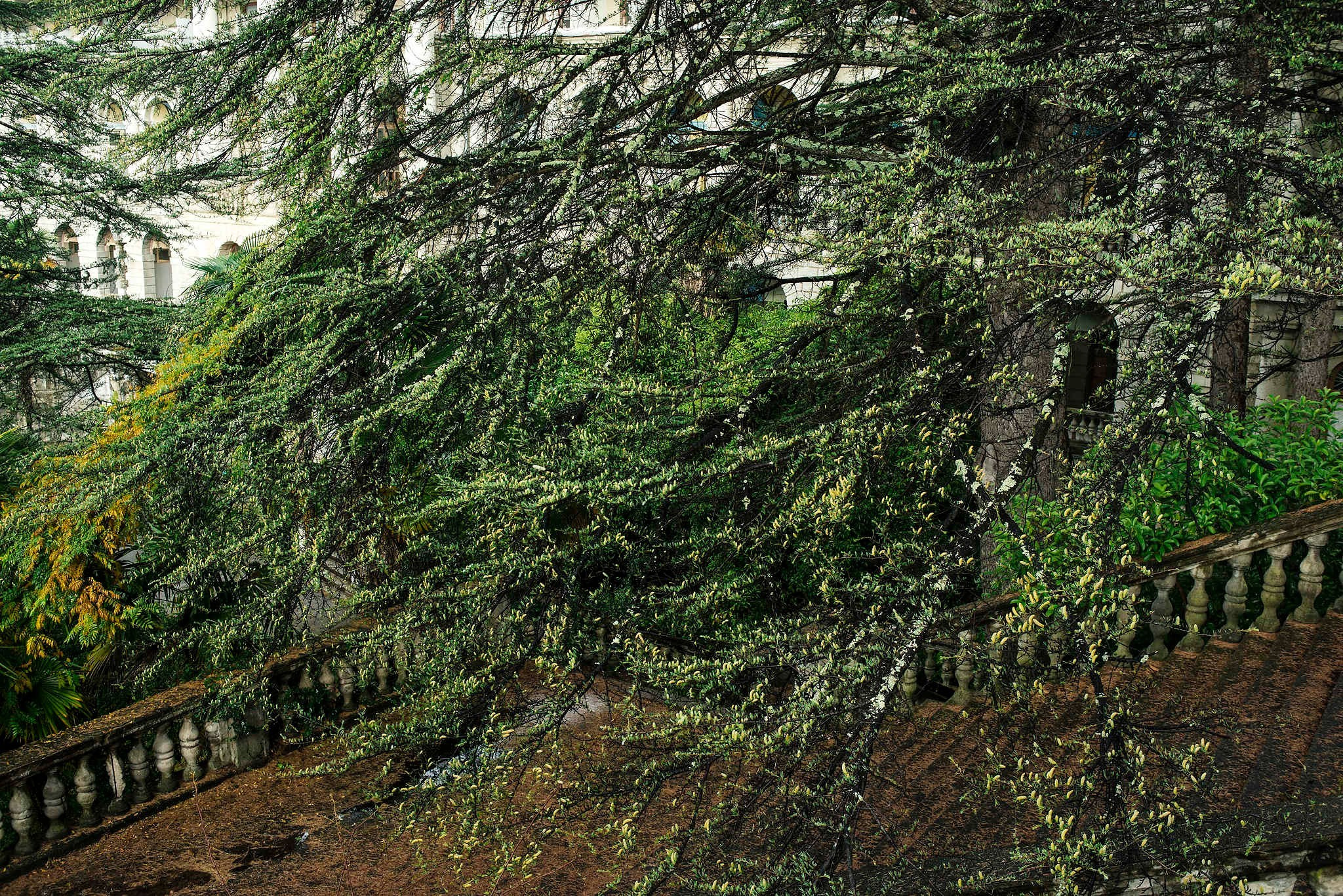 Главная (1). Фотограф Михаил Мордасов, Сочи. Мероприятия, портреты, спорт, репортаж