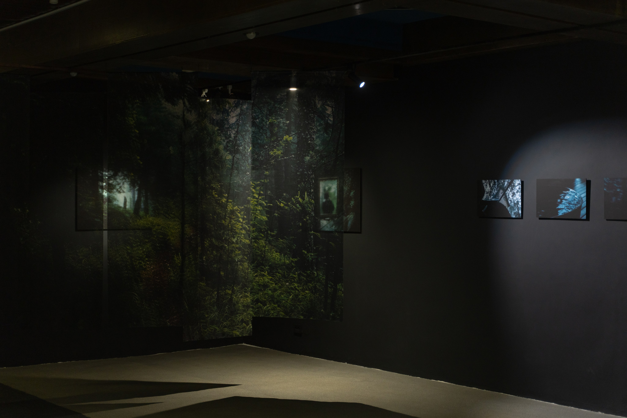 Пристанище. Элина Гусарова