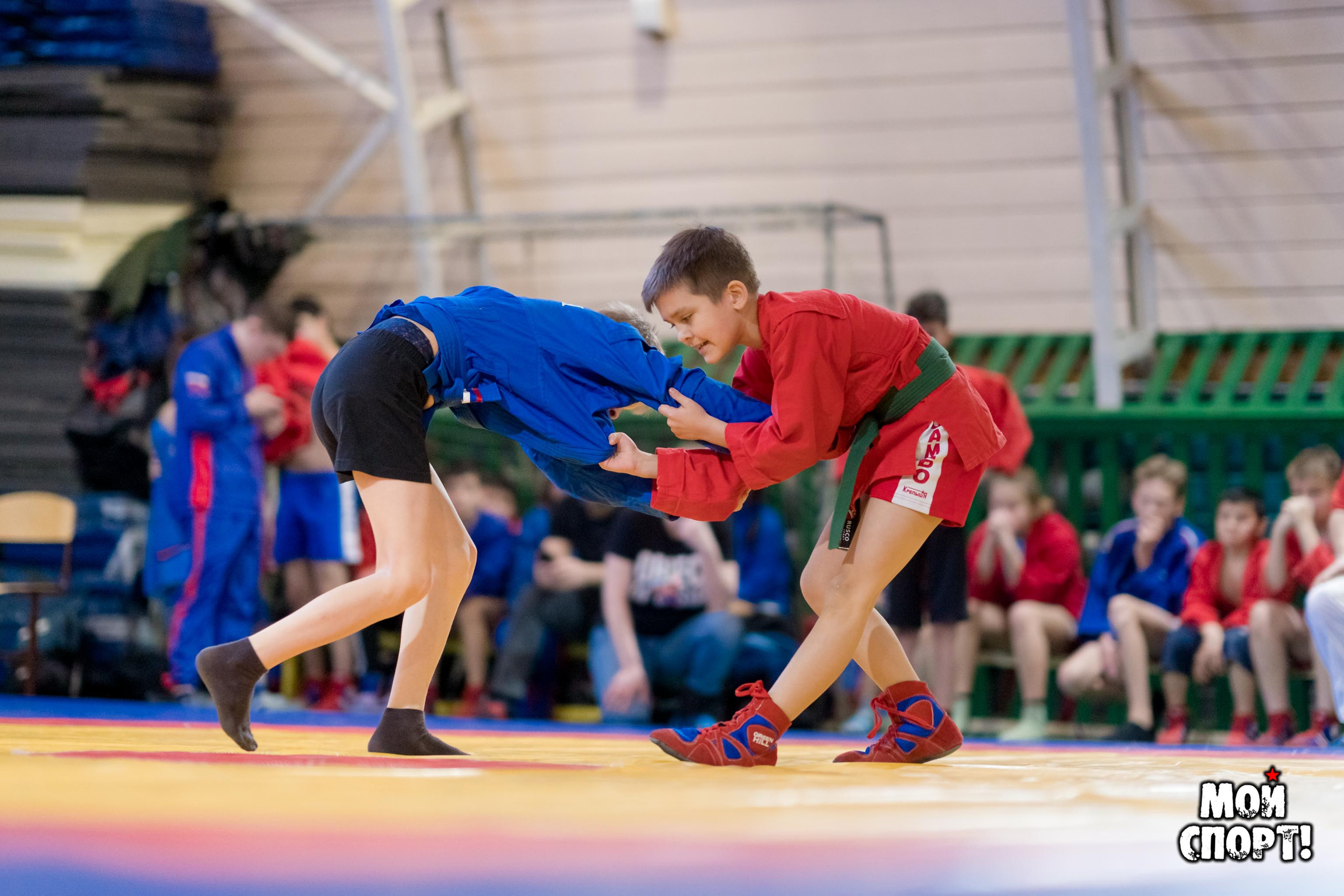 Открытое первенство г. Якутска по Самбо среди юношей и девушек. Студия «Мой Спорт!» — все о спорте в Якутии